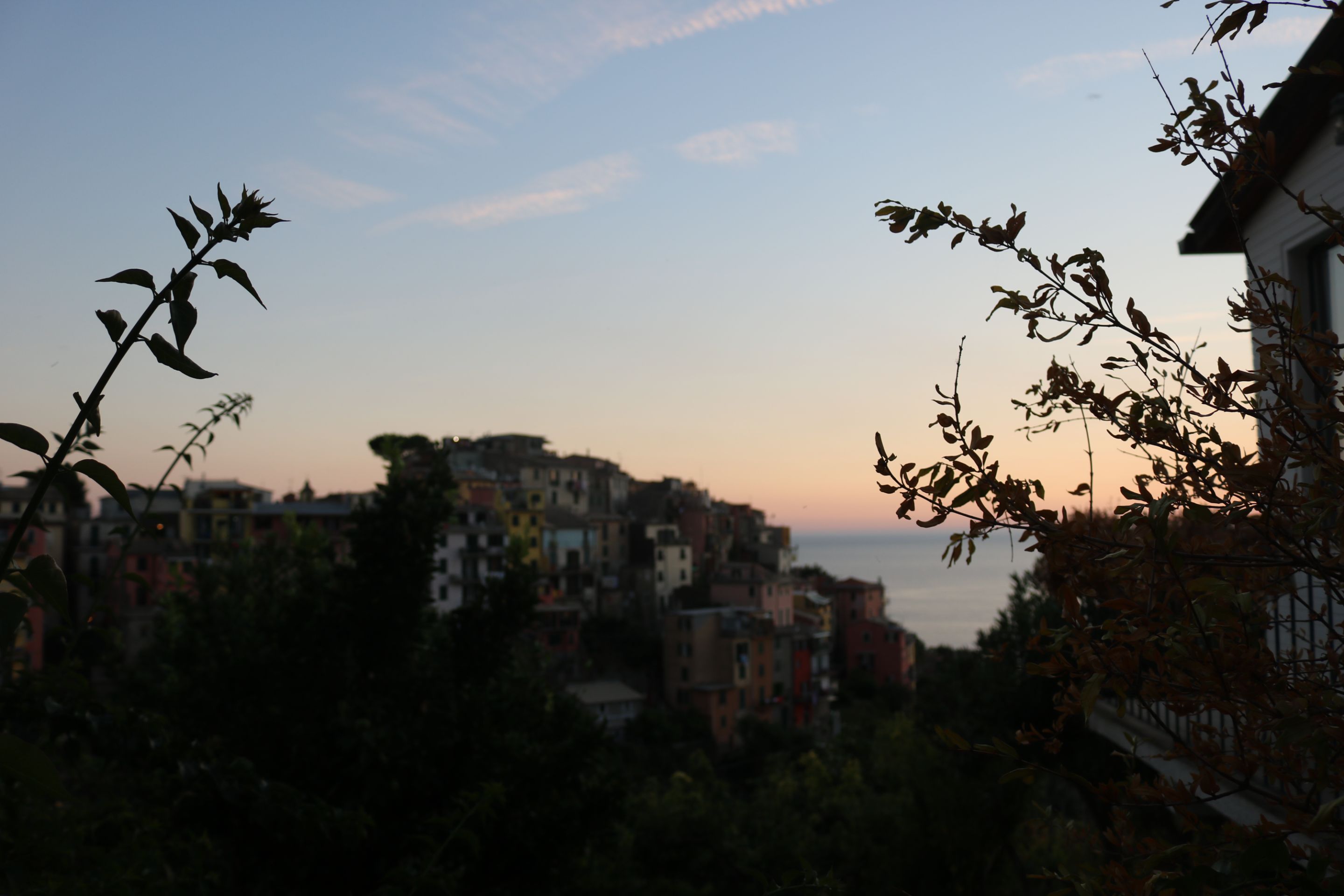 IMG_9601.JPG
