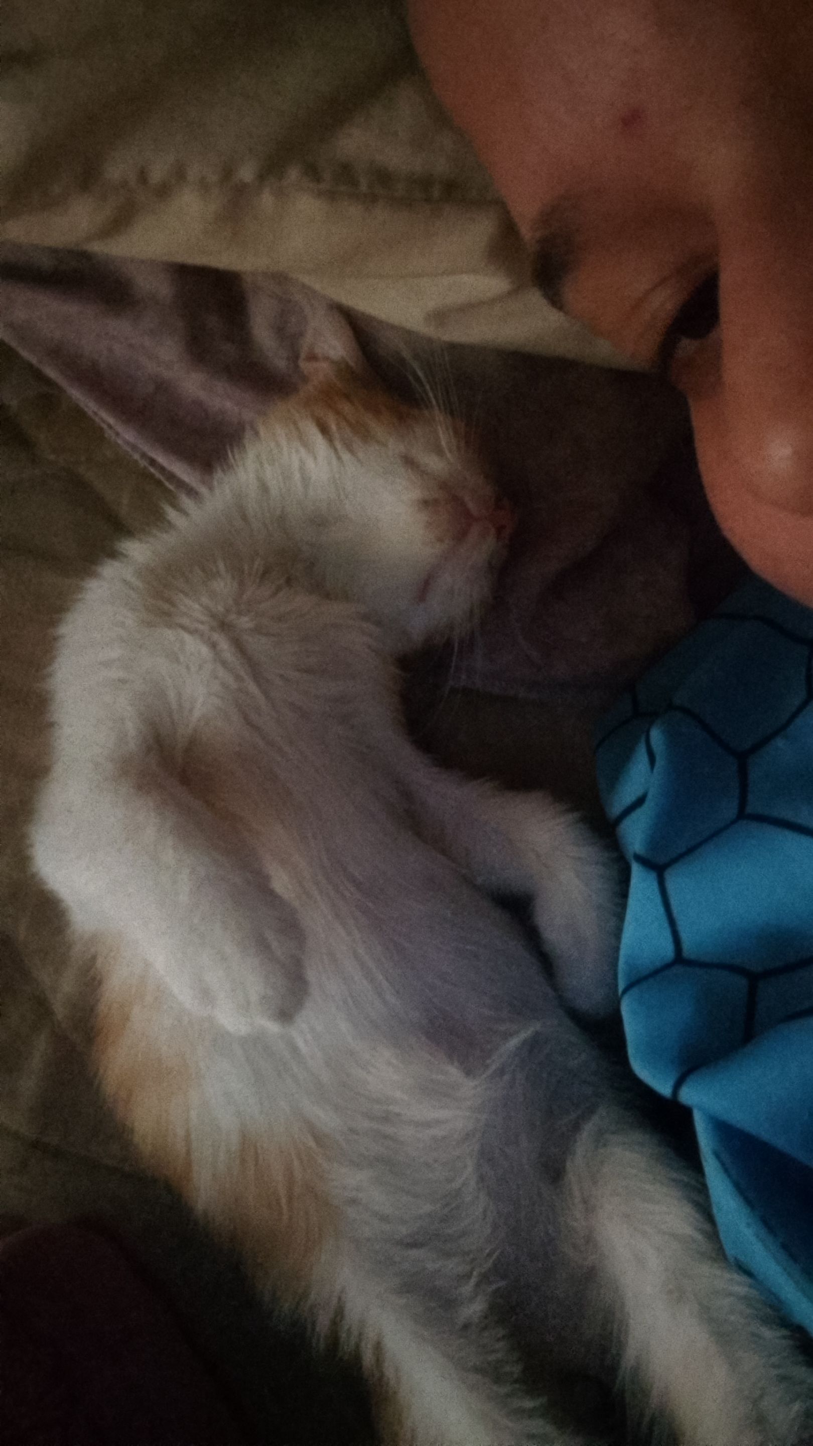 IMG-20250616-WA0541.jpeg