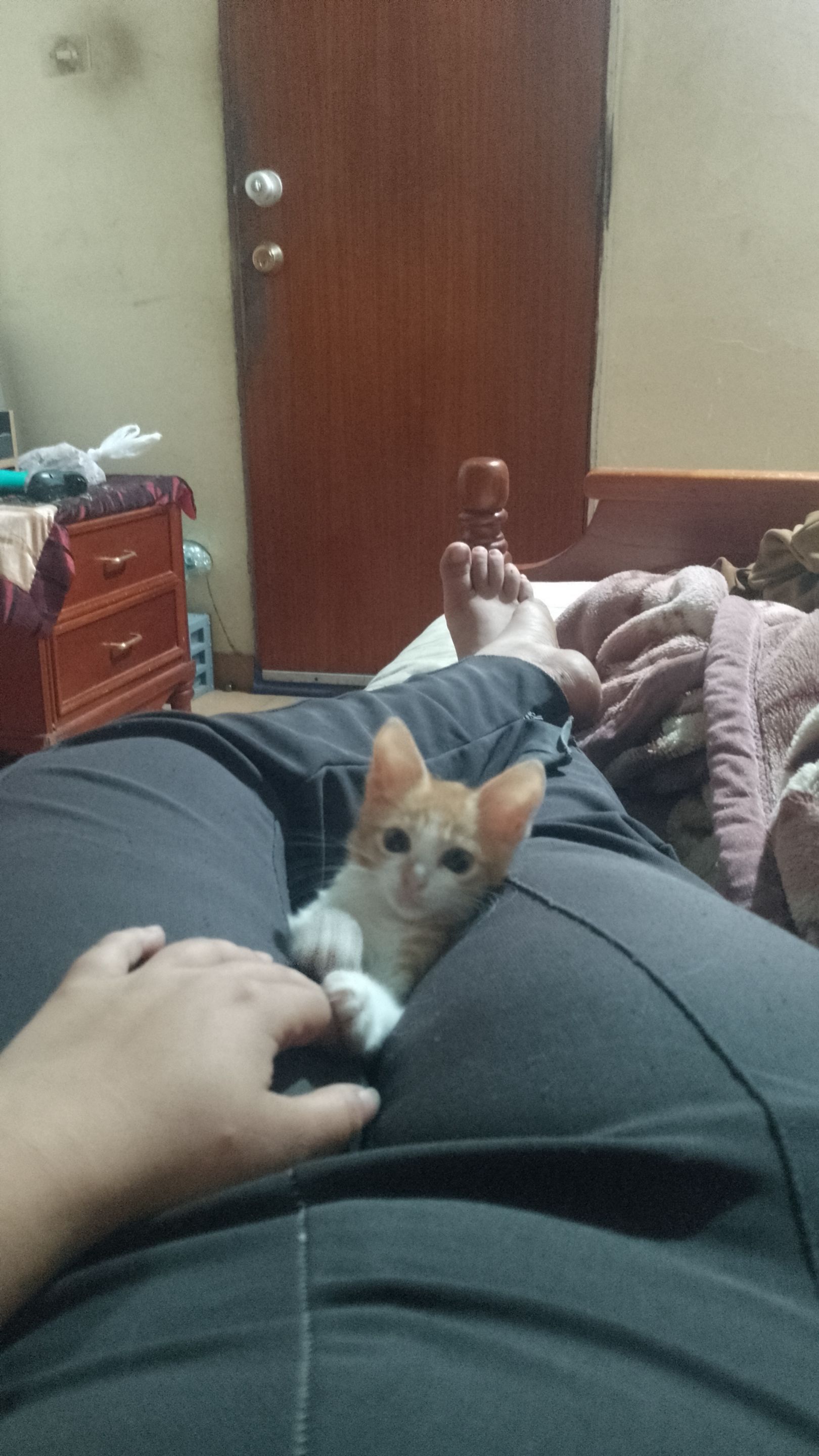 IMG-20250612-WA0558.jpeg