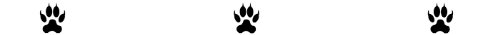 divisoreren-removebg-preview.png
