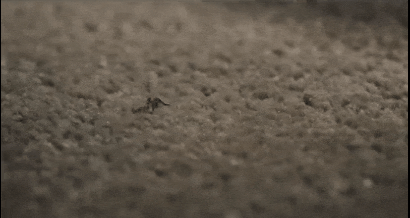 GIF-220713_140119.gif