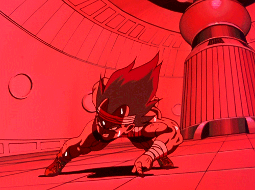 gif3.gif