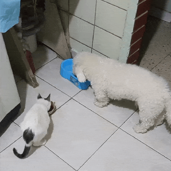 GIF-220316_182540.gif