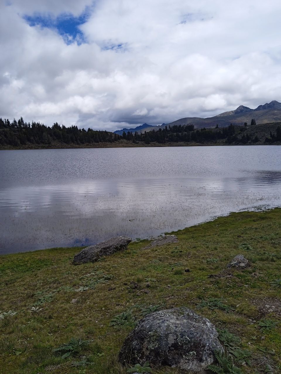 laguna