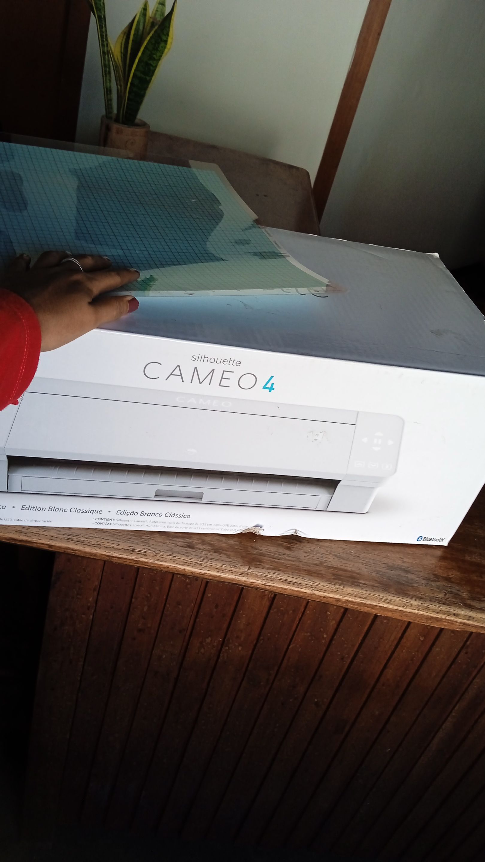 cameo