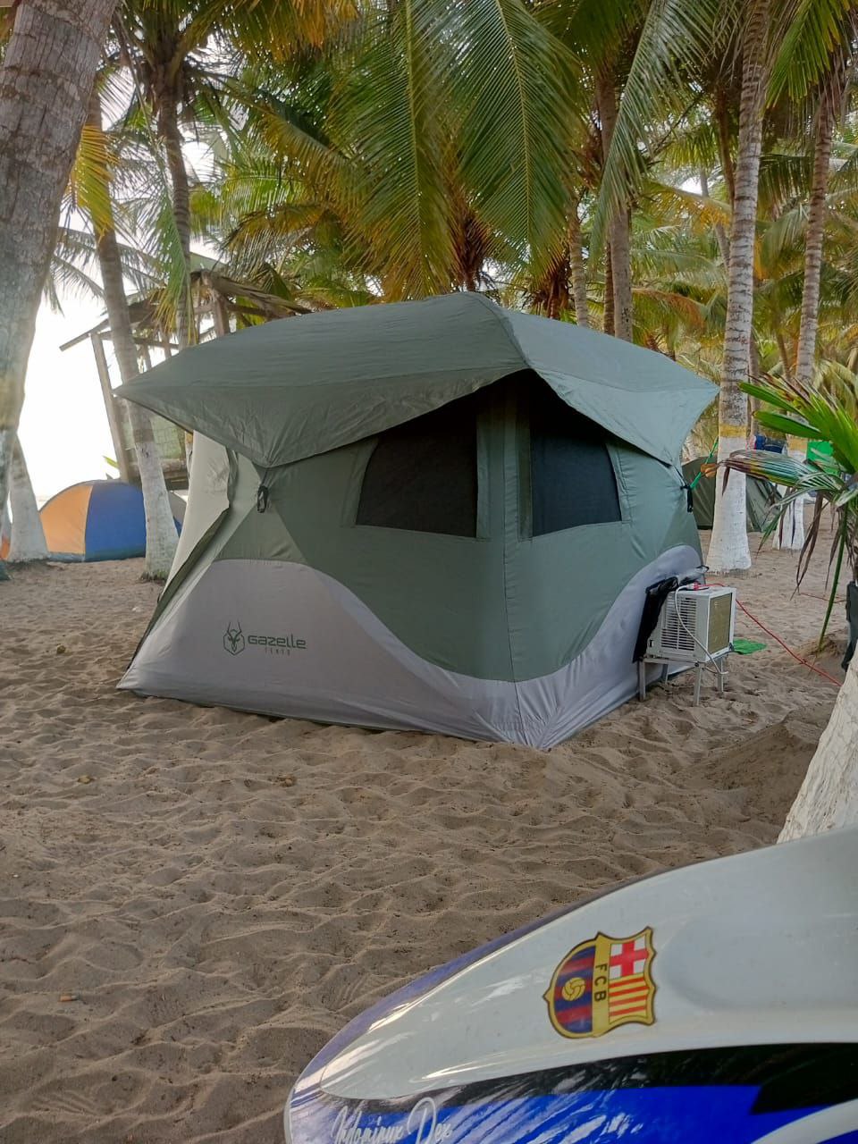 carpa