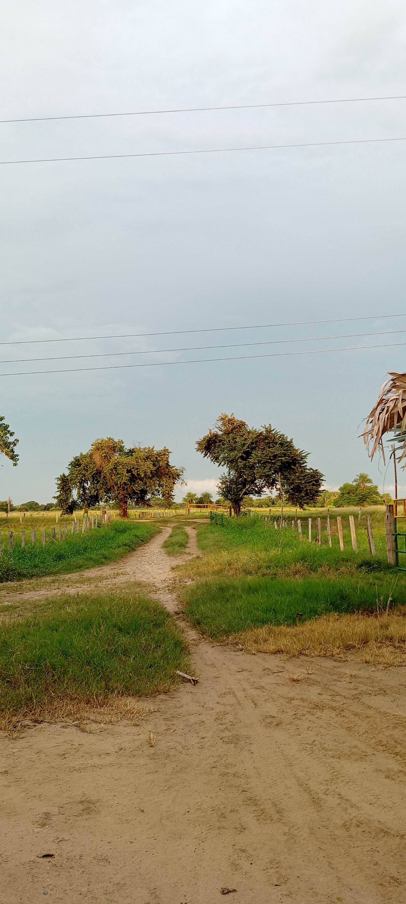 paisaje