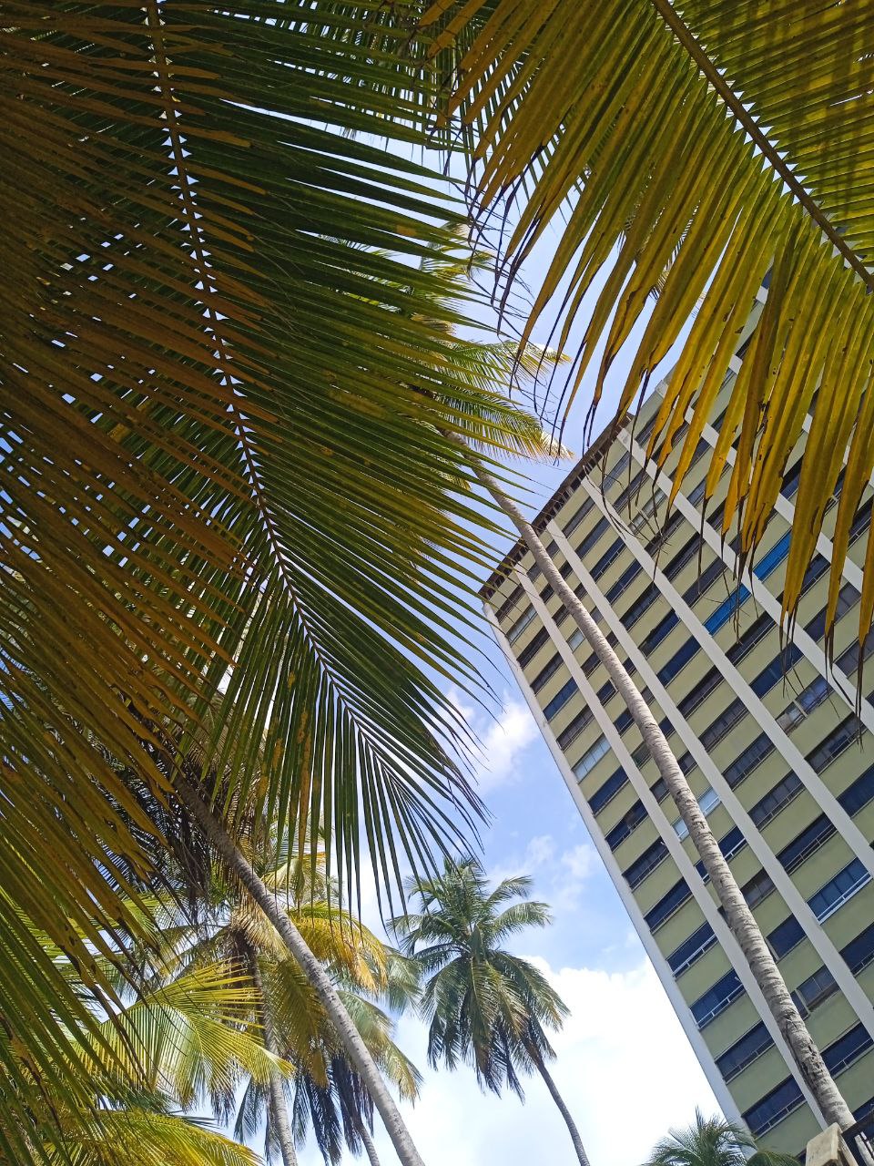 apartamentos
