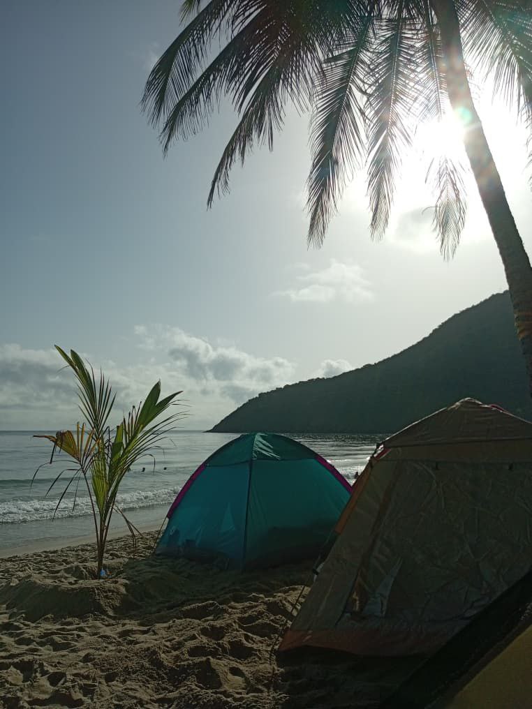 carpas
