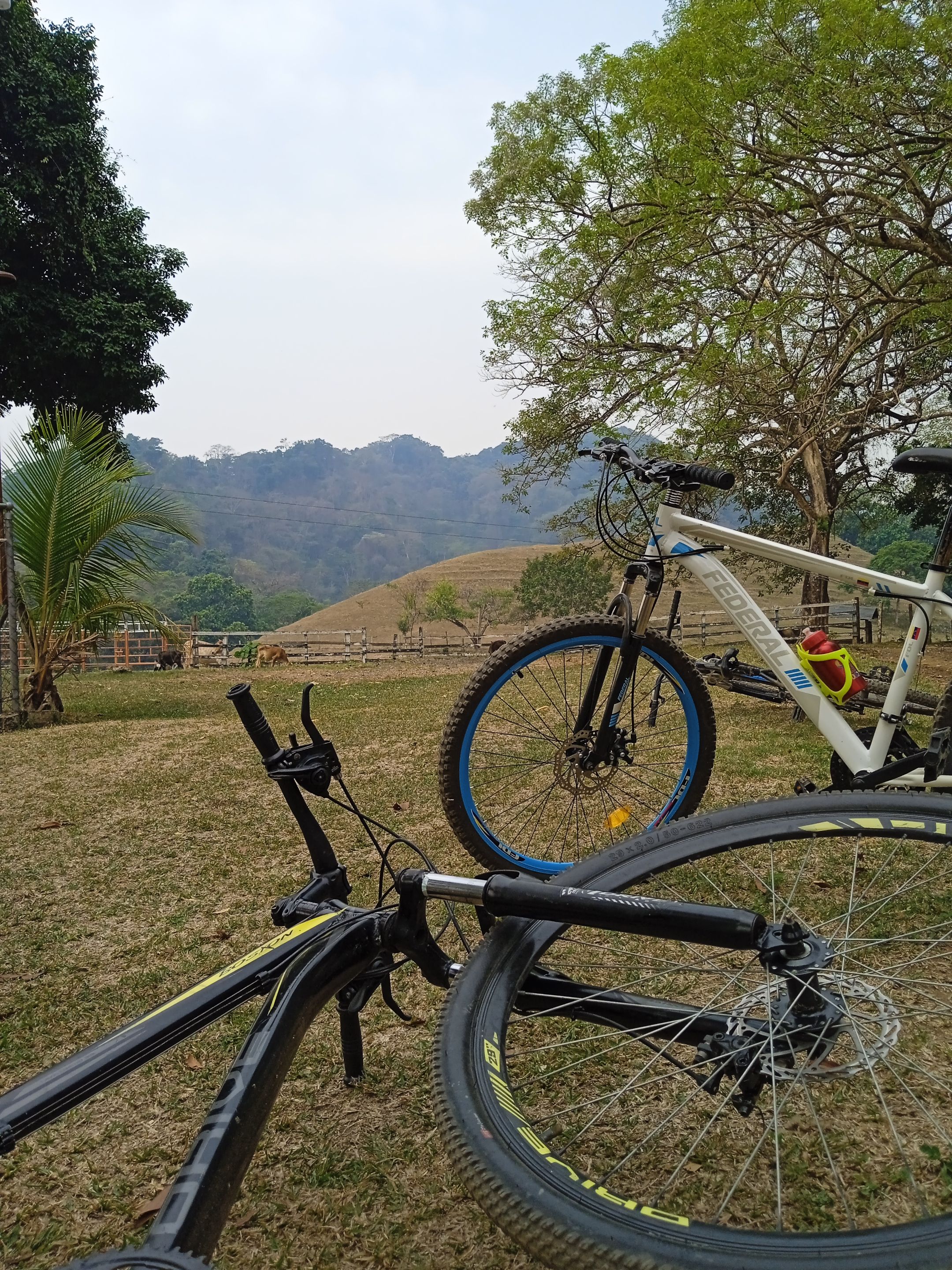 bici