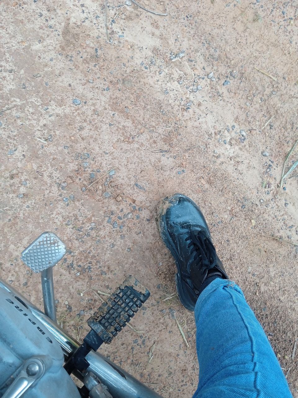 camino