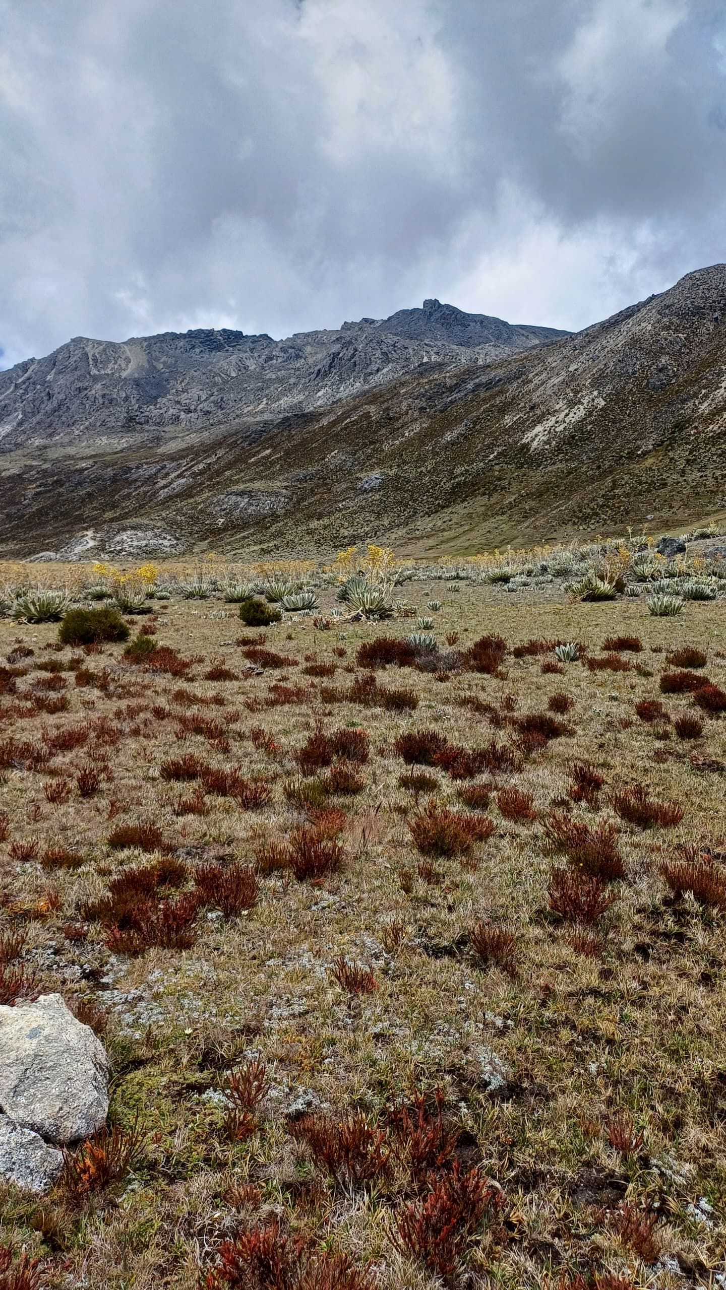 paisaje