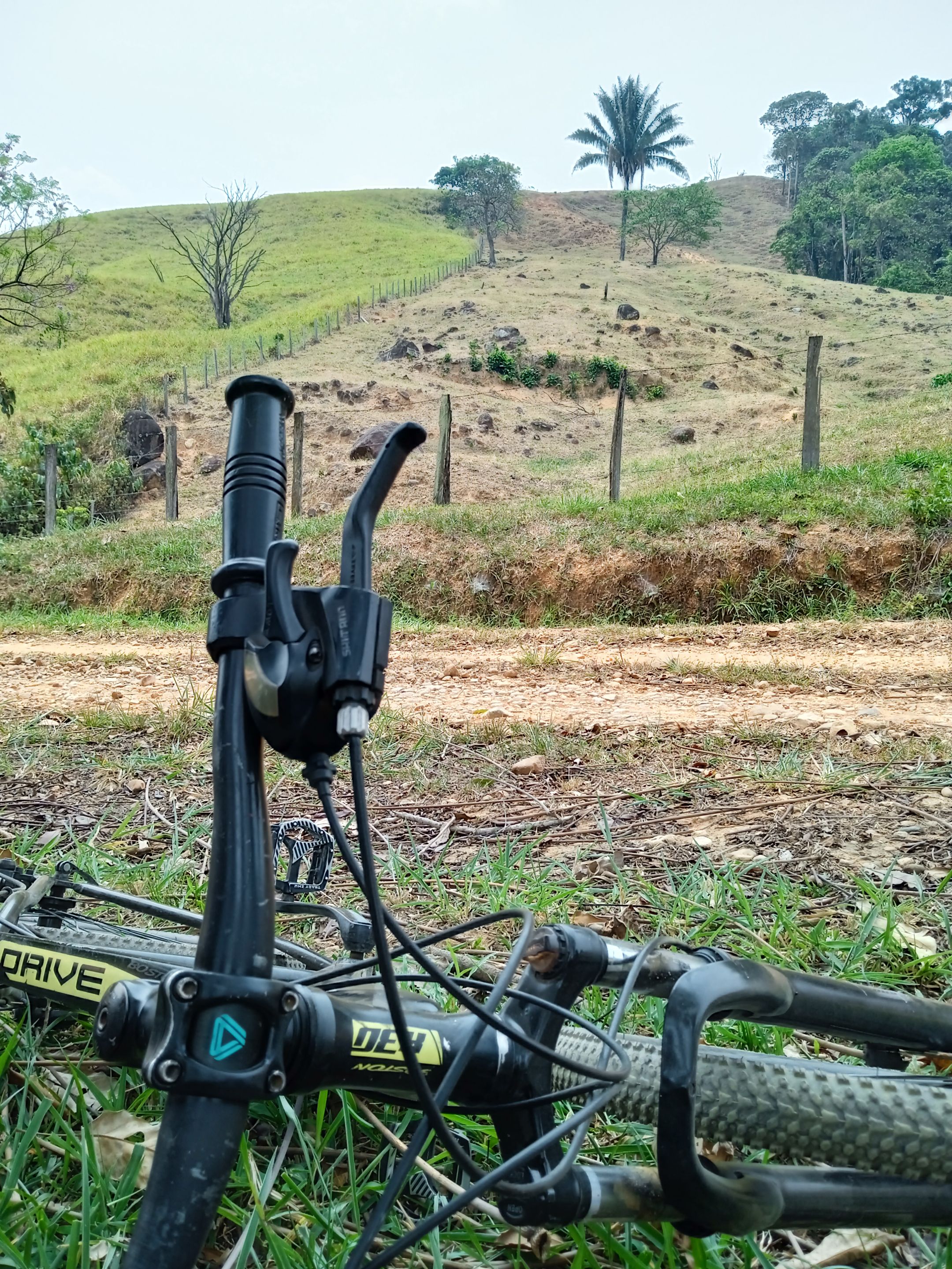 bici