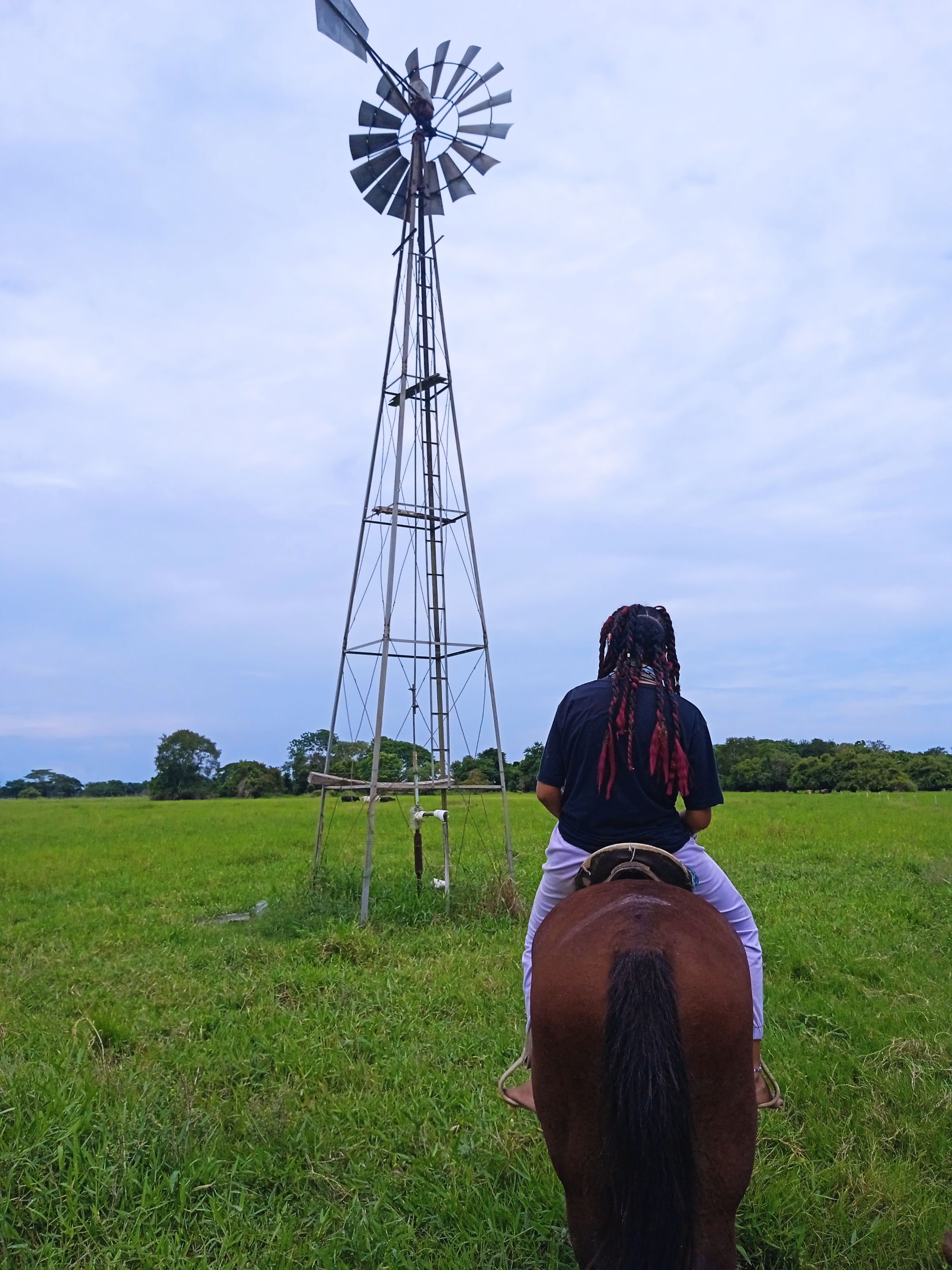 caballo y molino