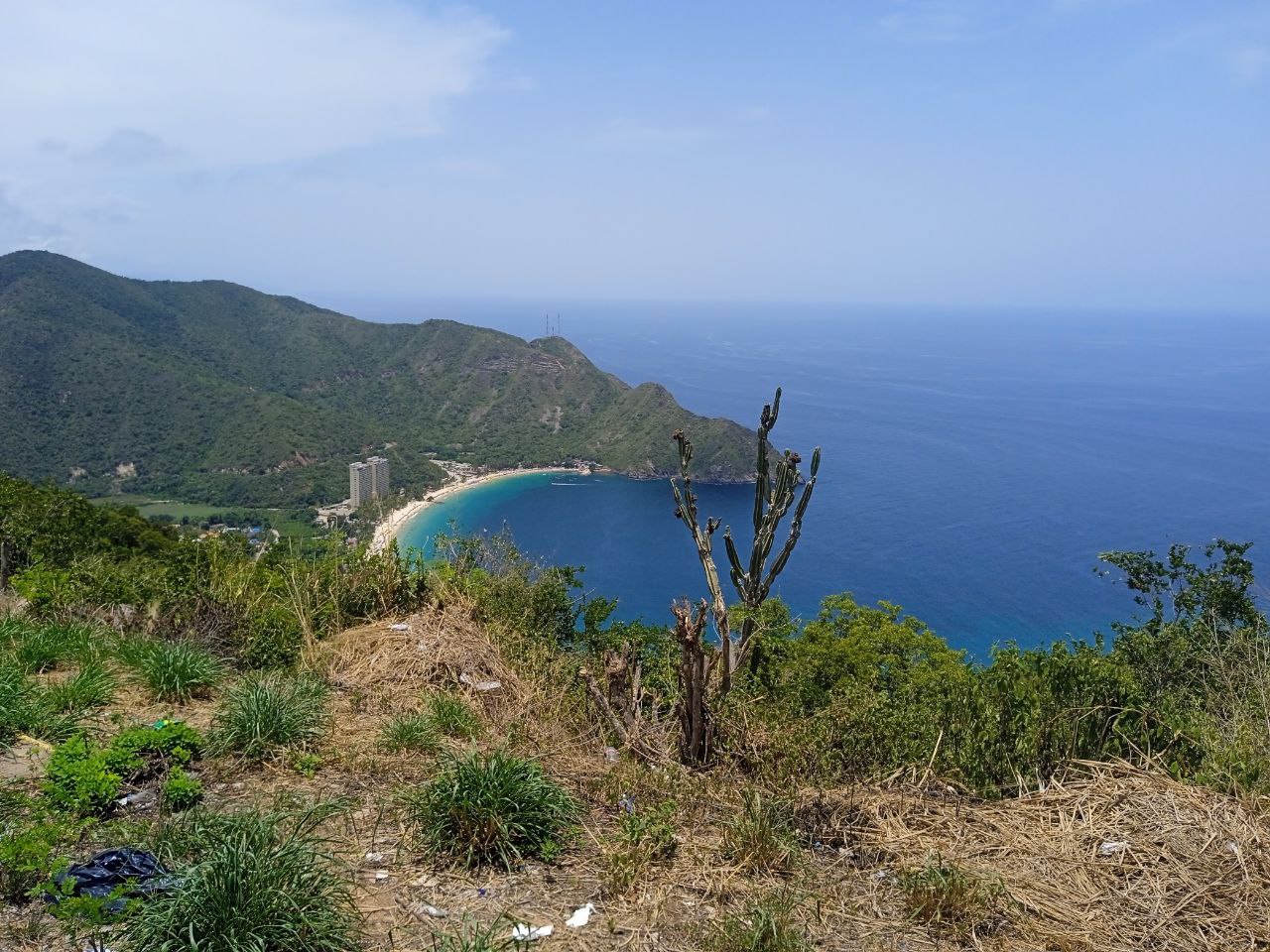 palaya