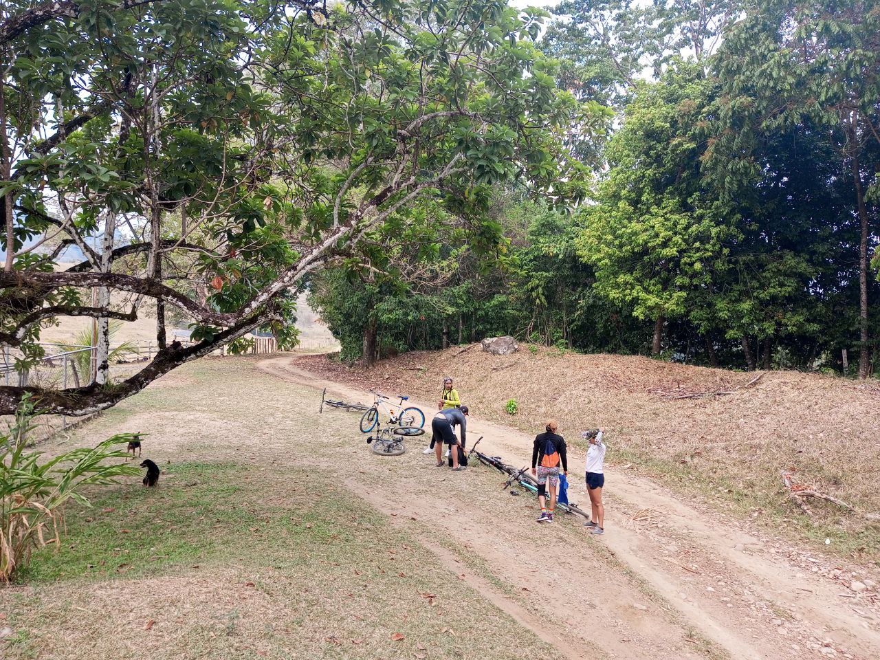 bici