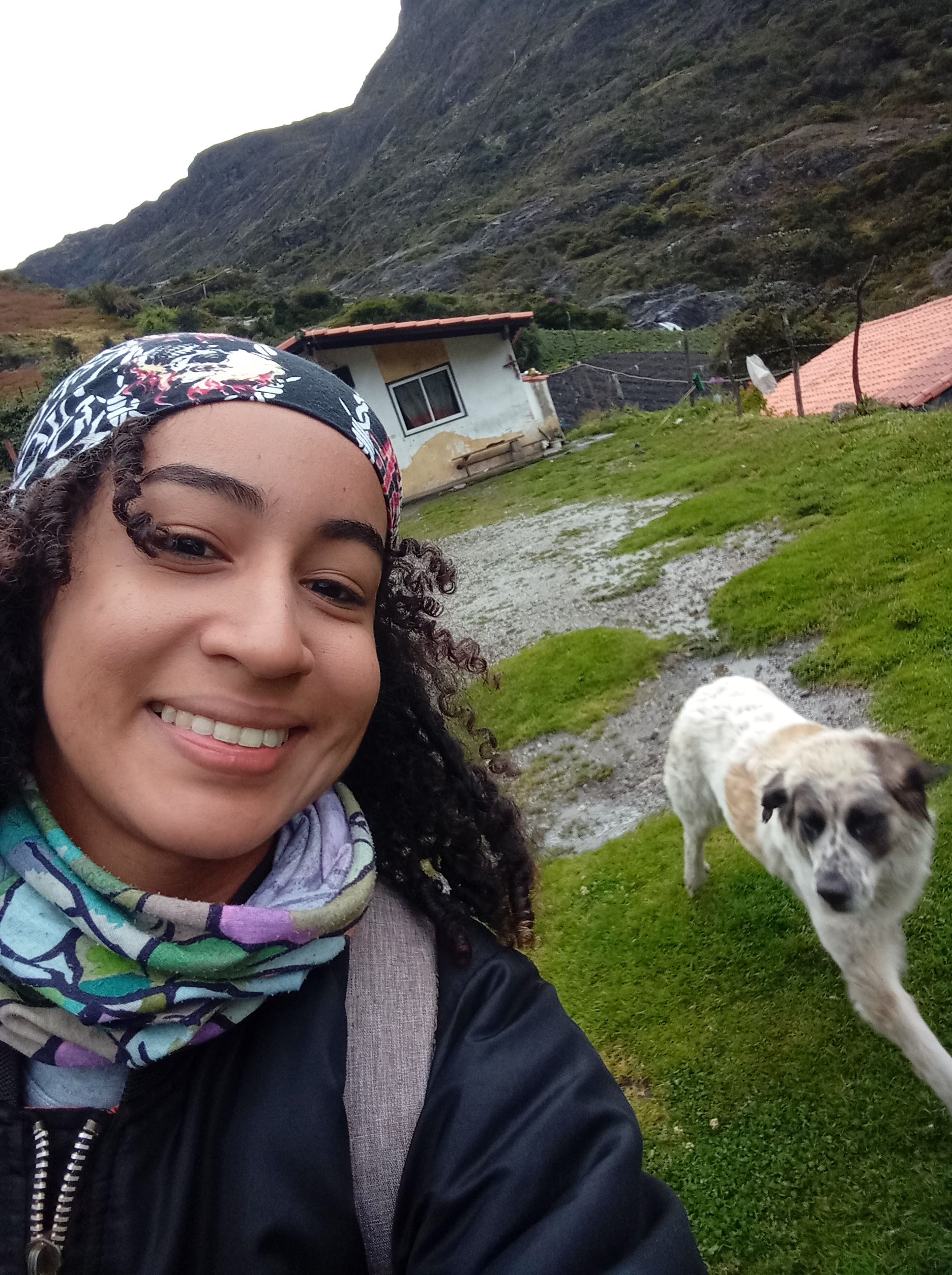 perrito