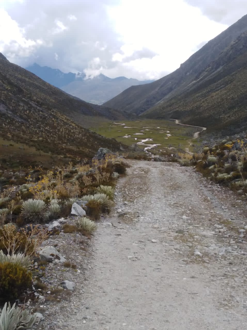 camino"