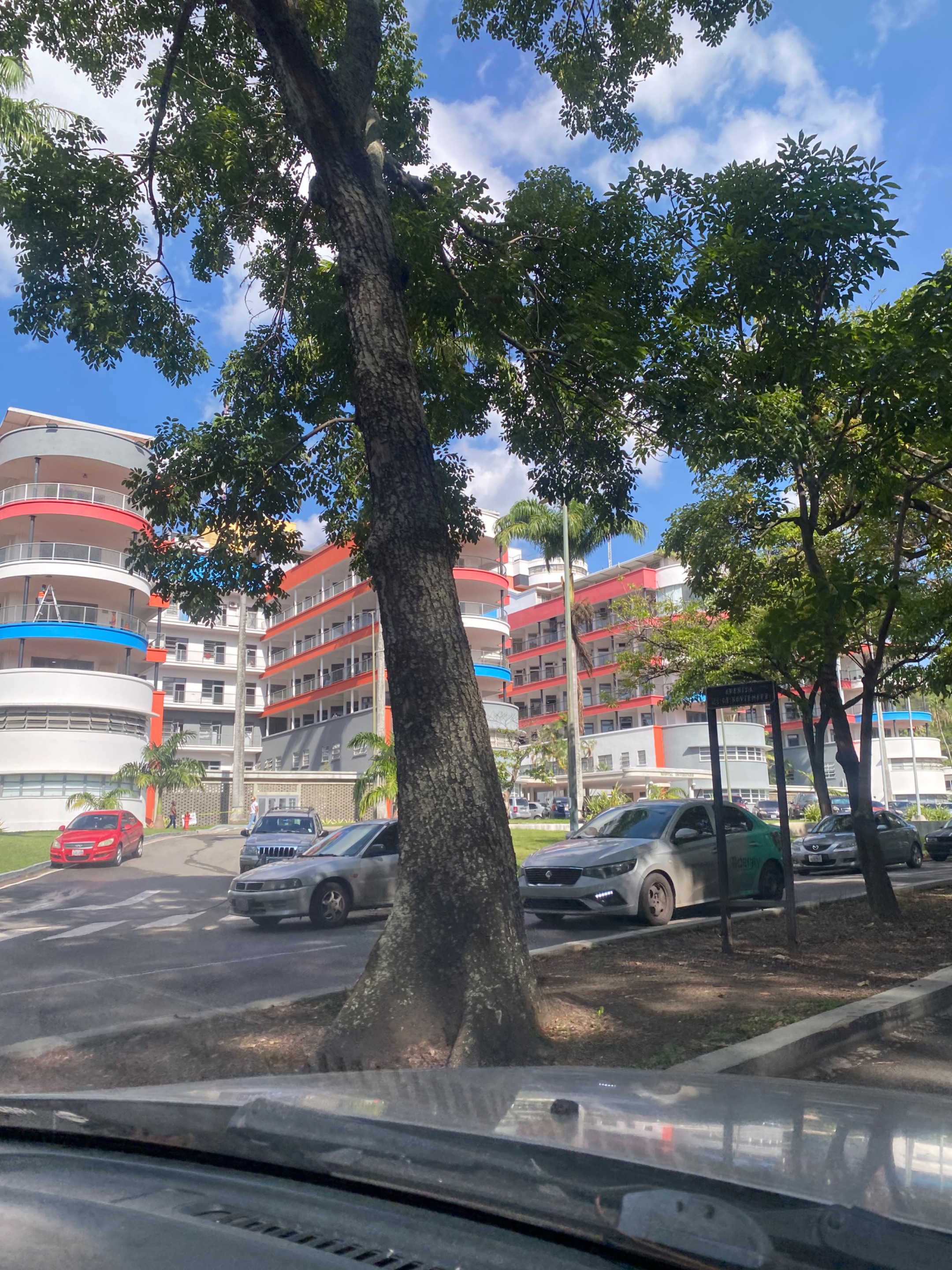 IMG_4879.jpeg