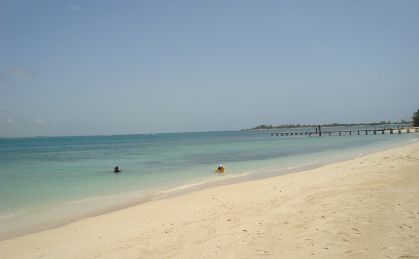 IMG_4686.jpeg