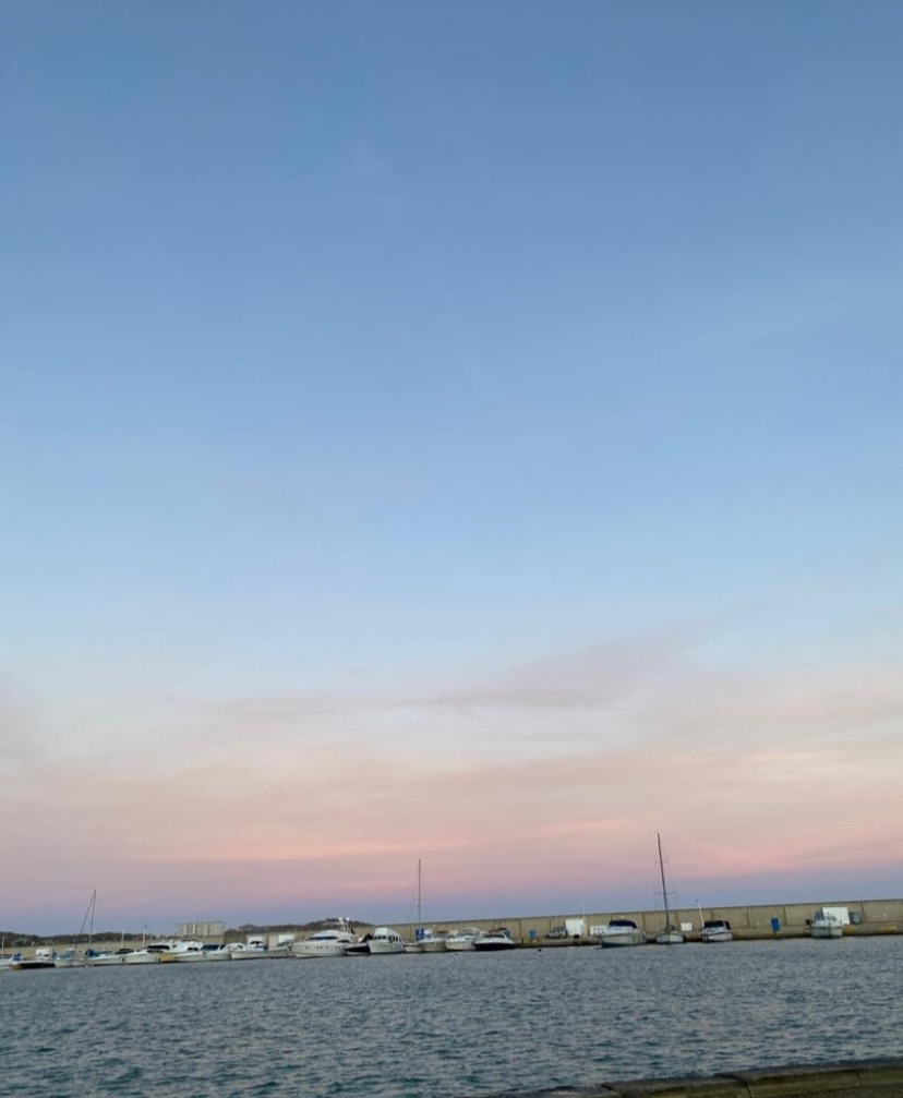 IMG_4819.jpeg