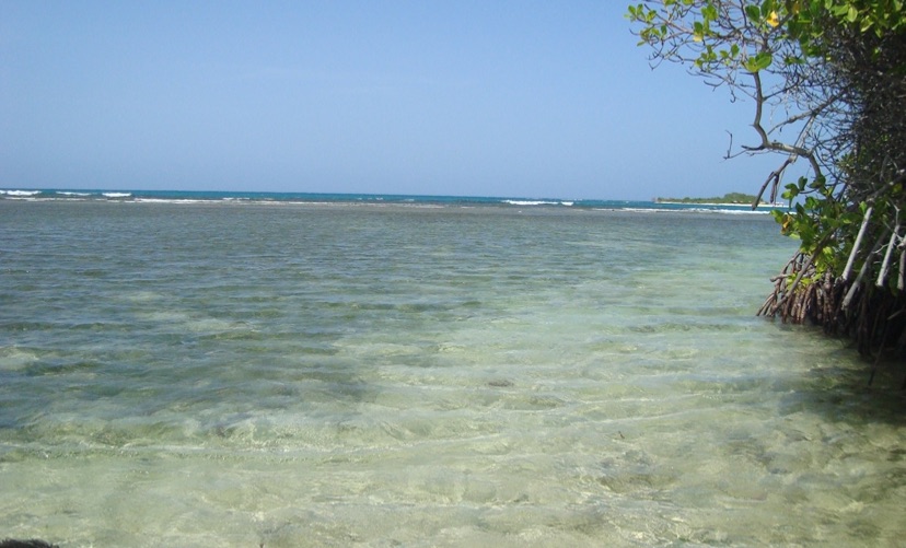 IMG_4693.jpeg