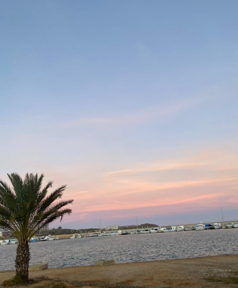 IMG_4818.jpeg