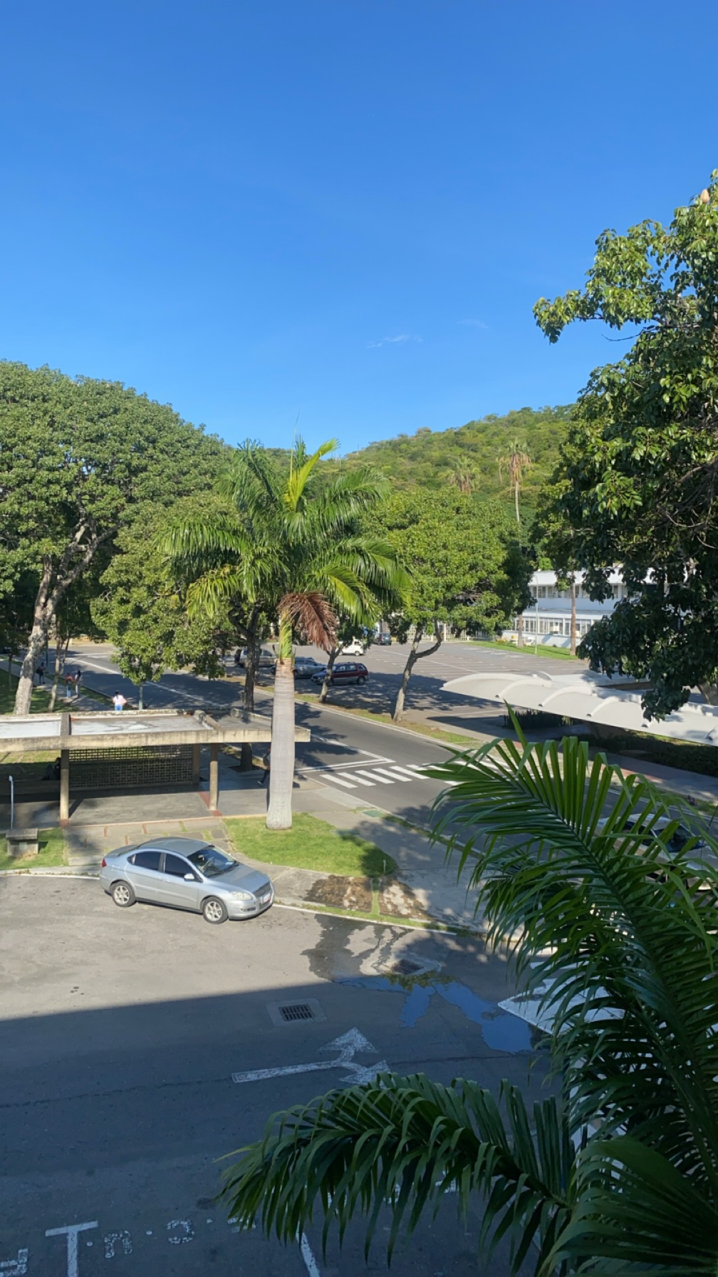 IMG_4862.jpeg