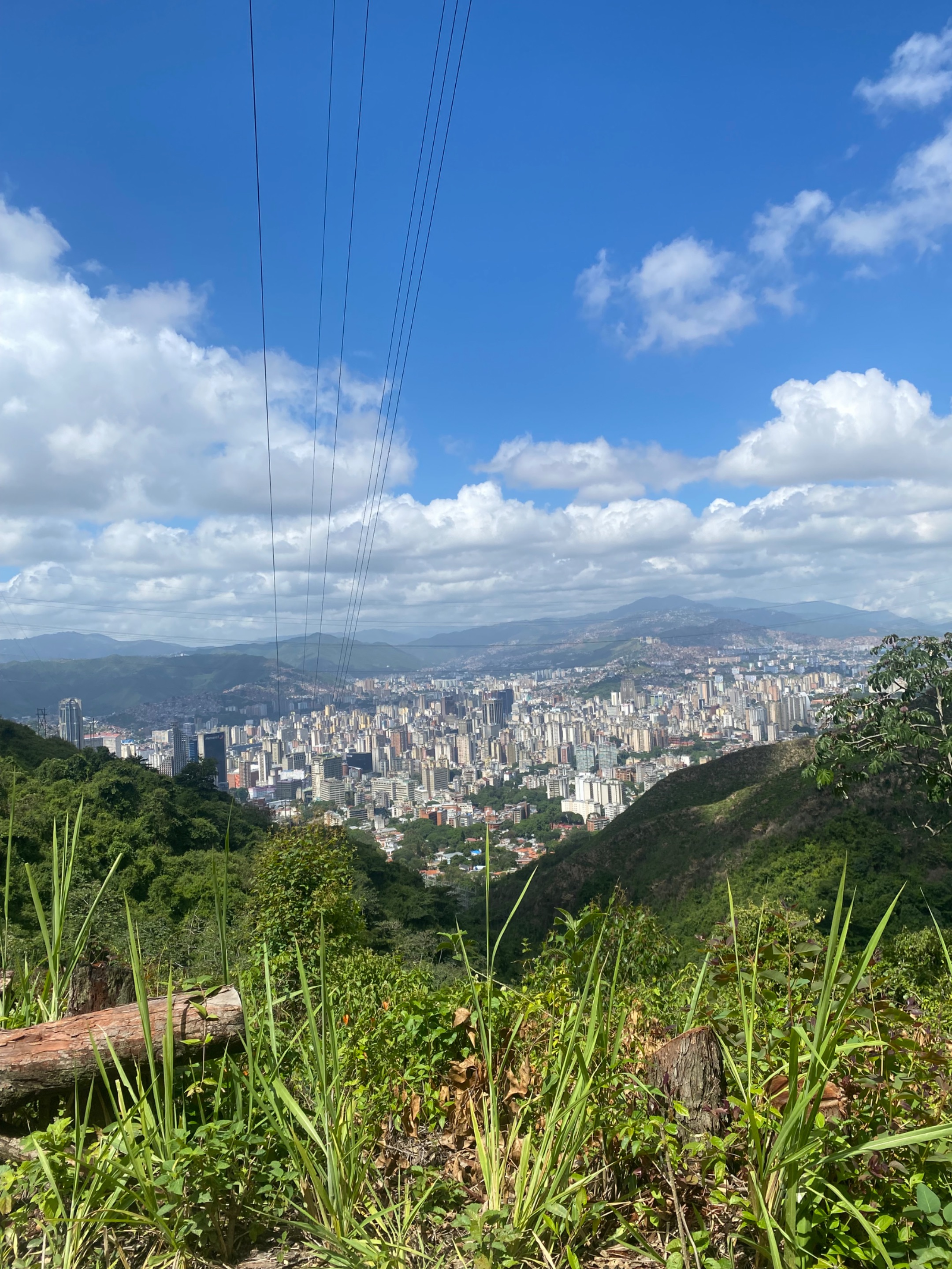 IMG_4218.jpeg