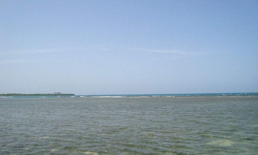 IMG_4692.jpeg