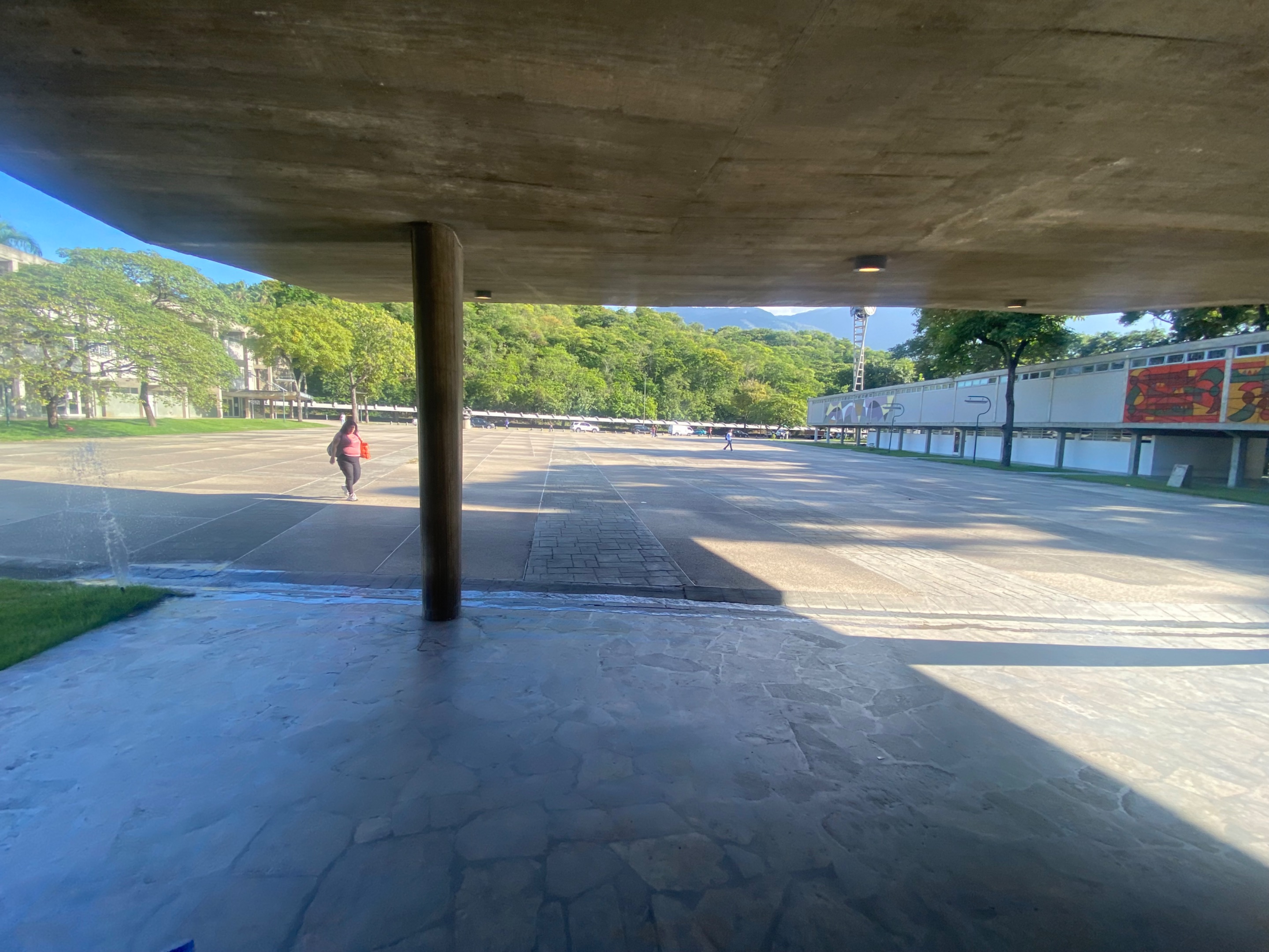 IMG_4857.jpeg