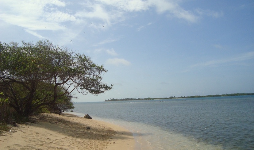 IMG_4695.jpeg