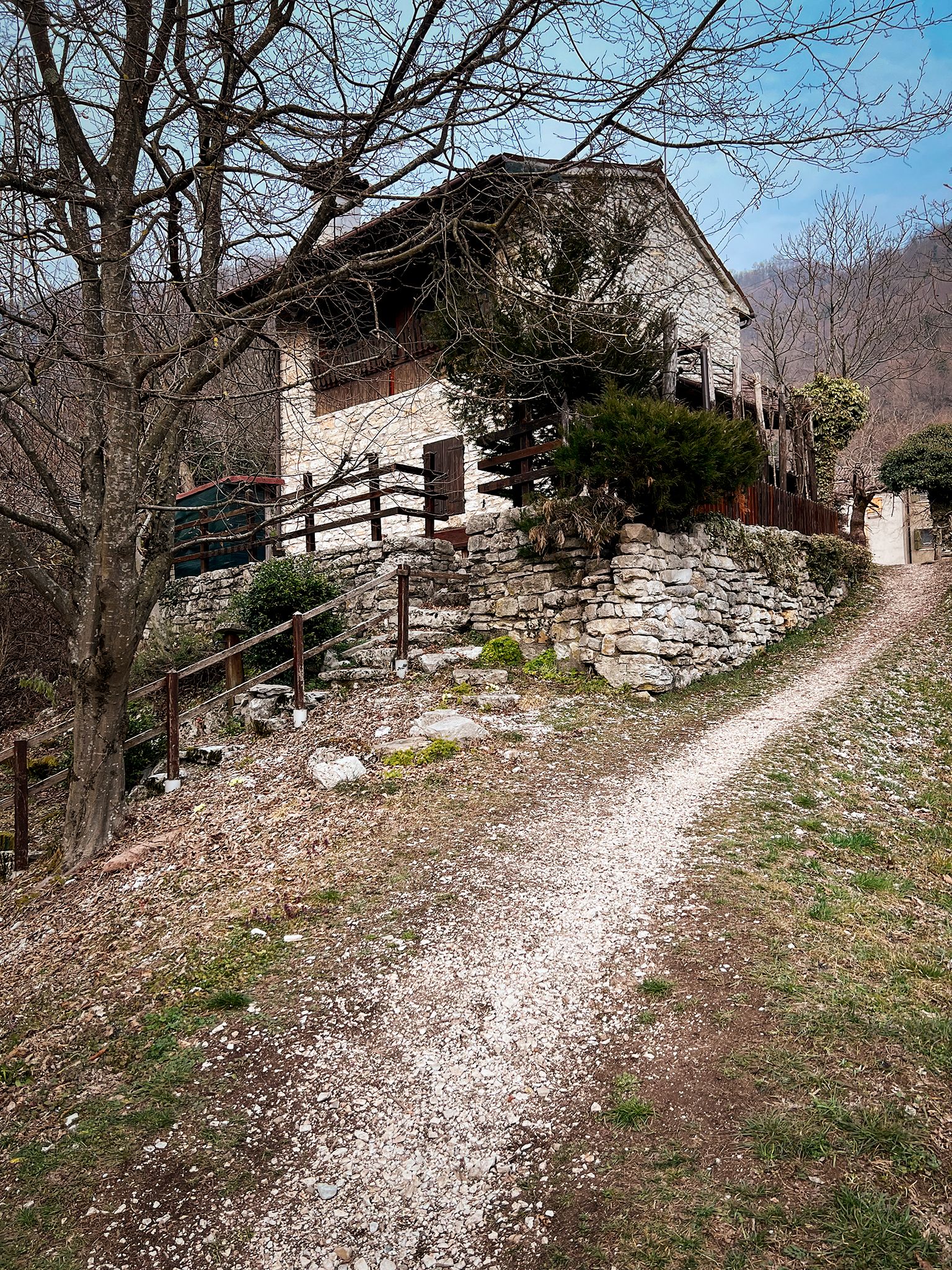 IMG_8689.jpg