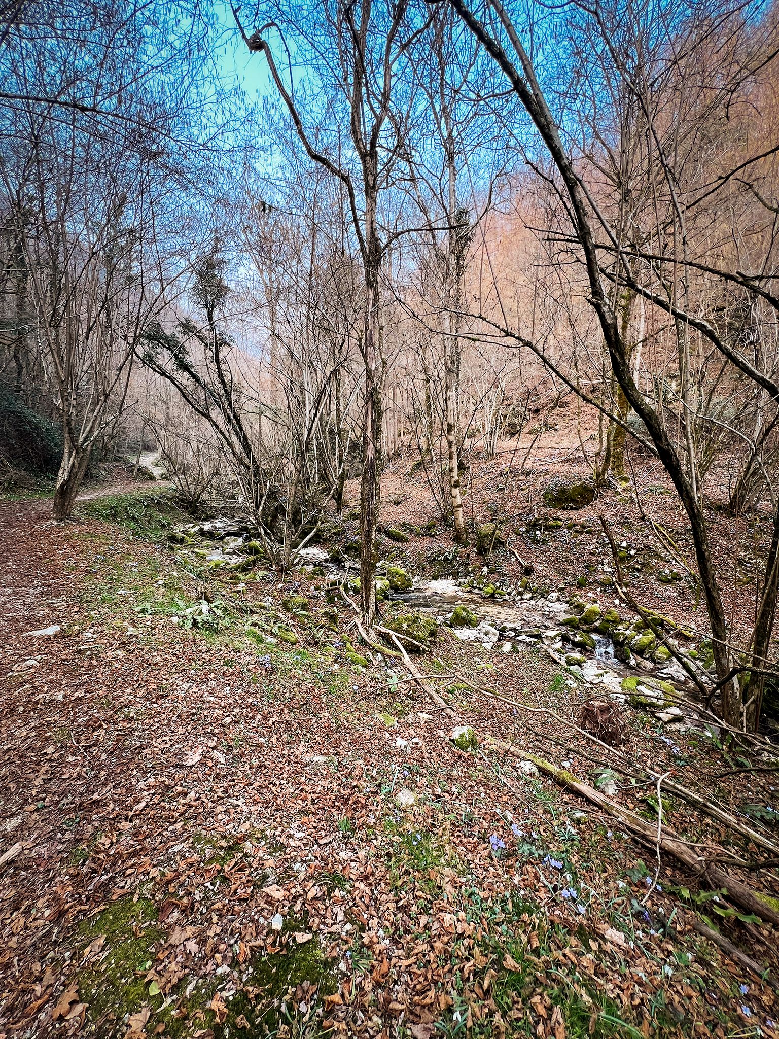 IMG_8642.jpg