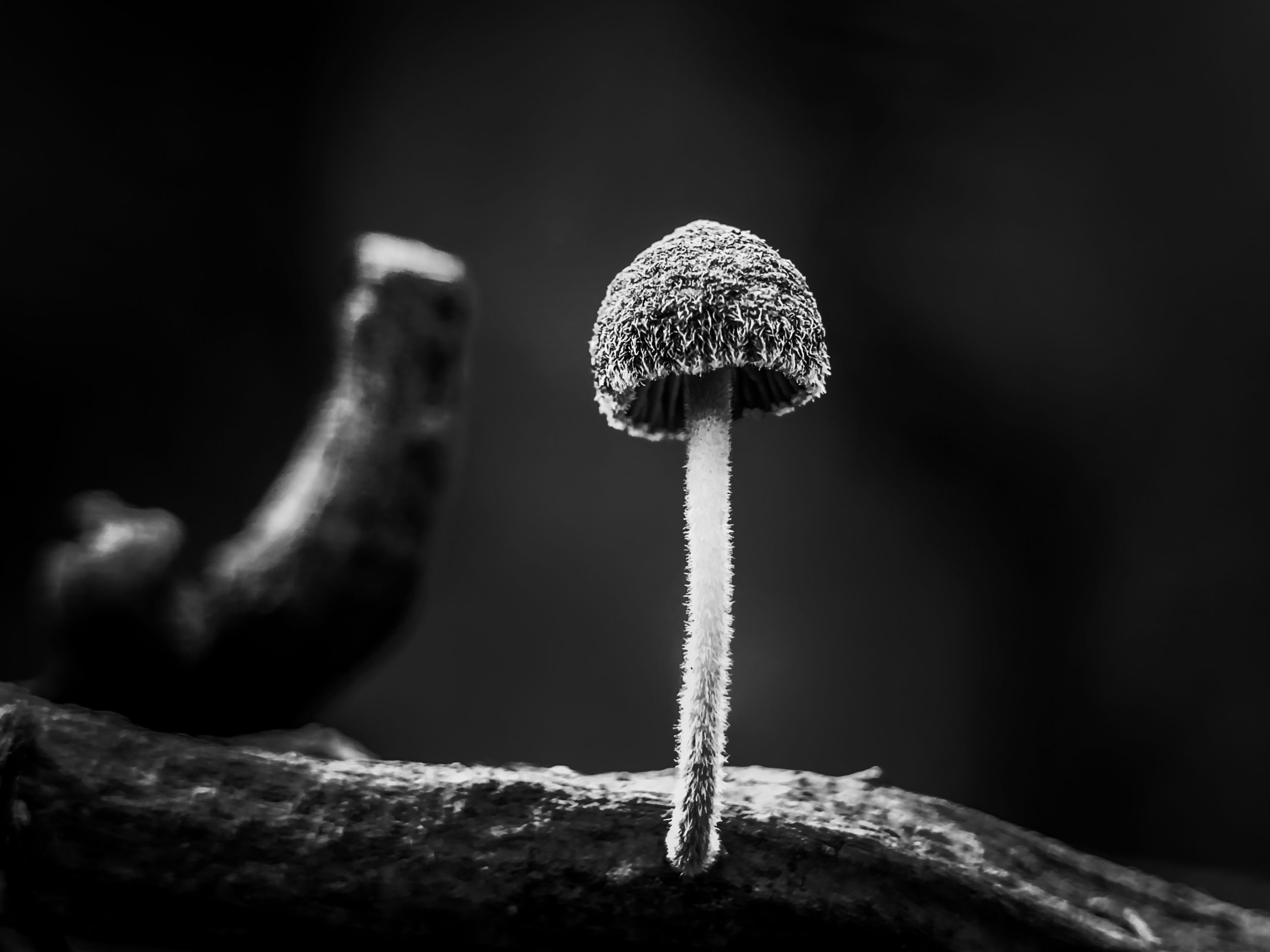 PSX_20221015_191215-01.jpg