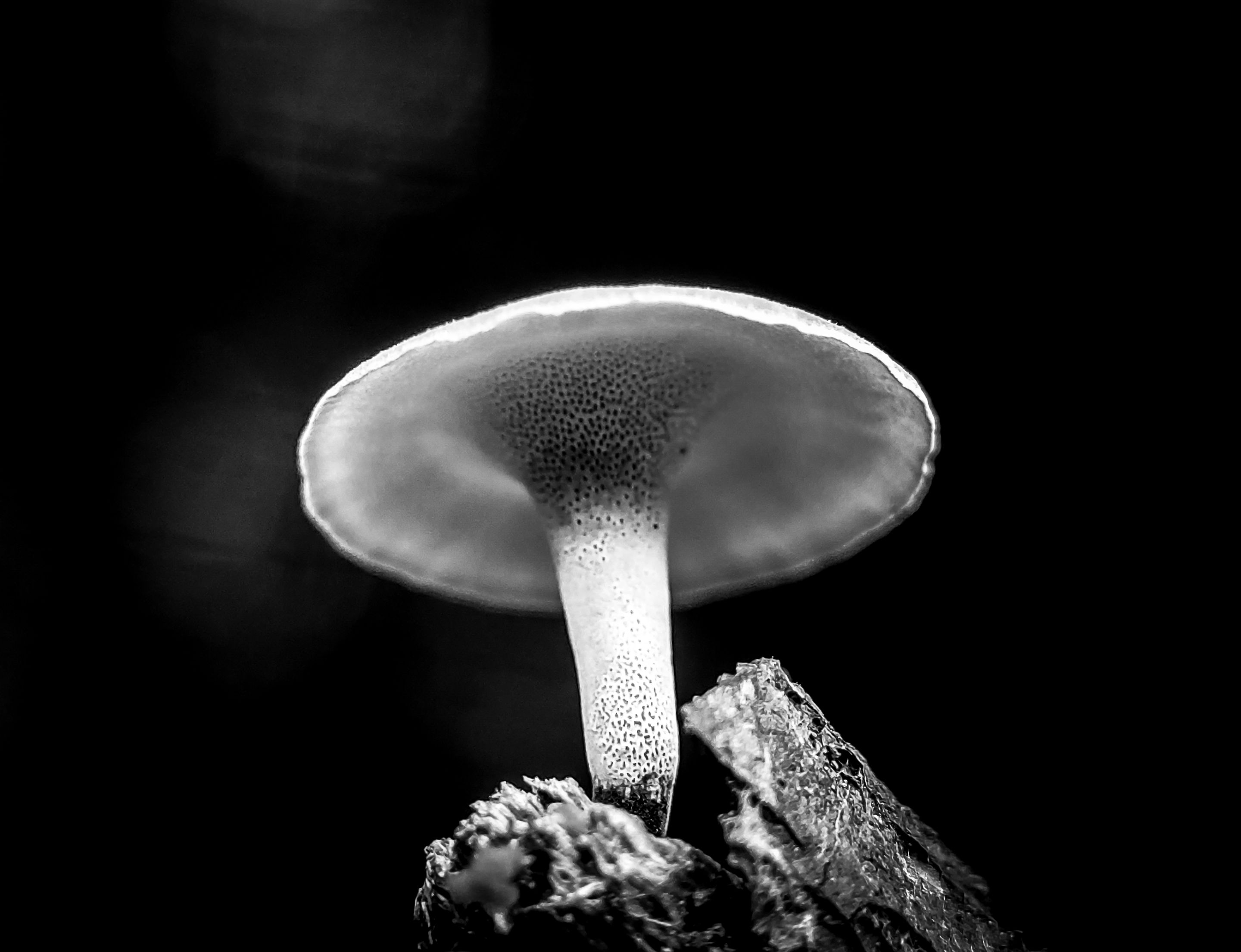 PSX_20221015_180701.jpg