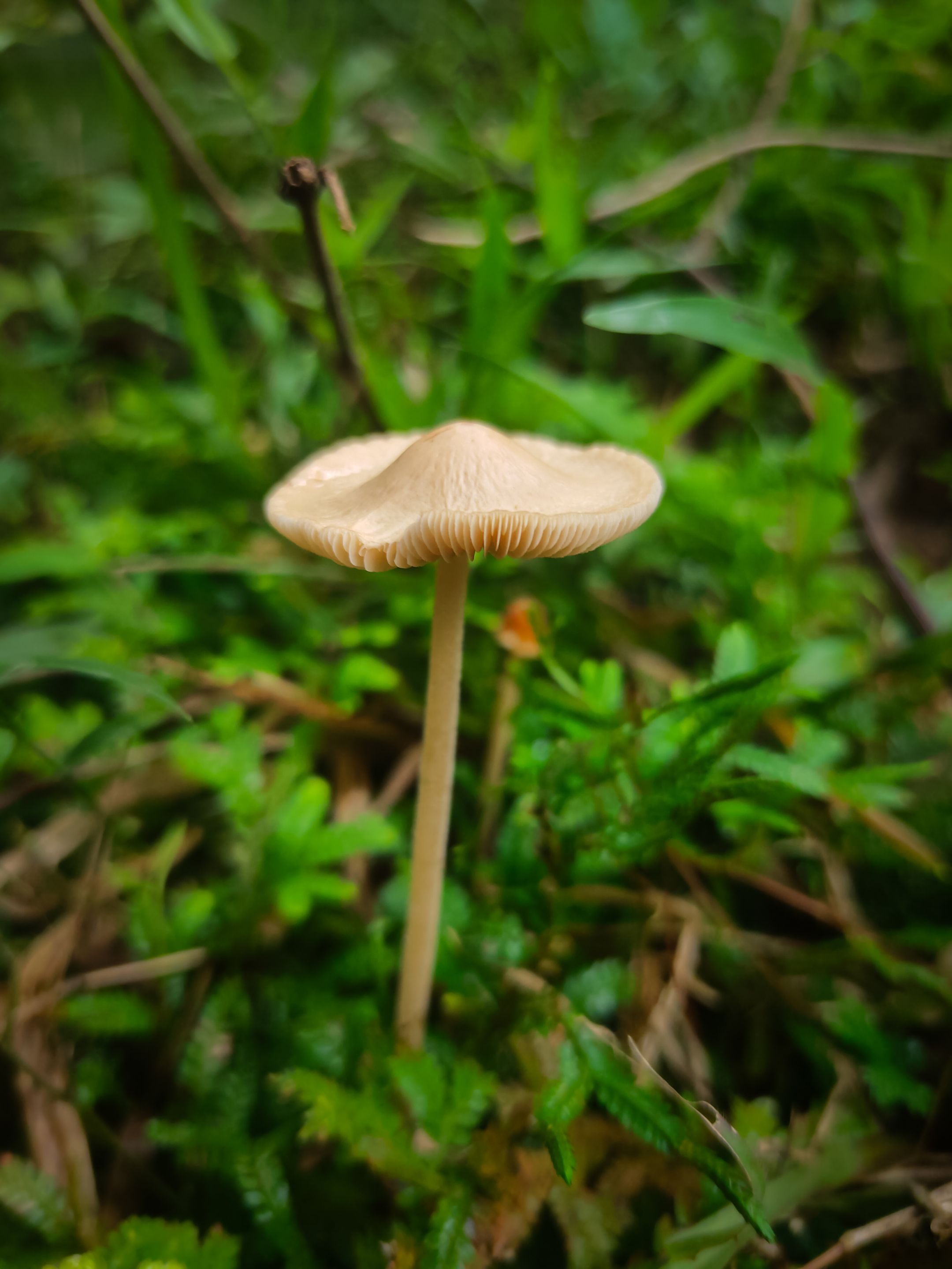 IMG20250924085458.jpg
