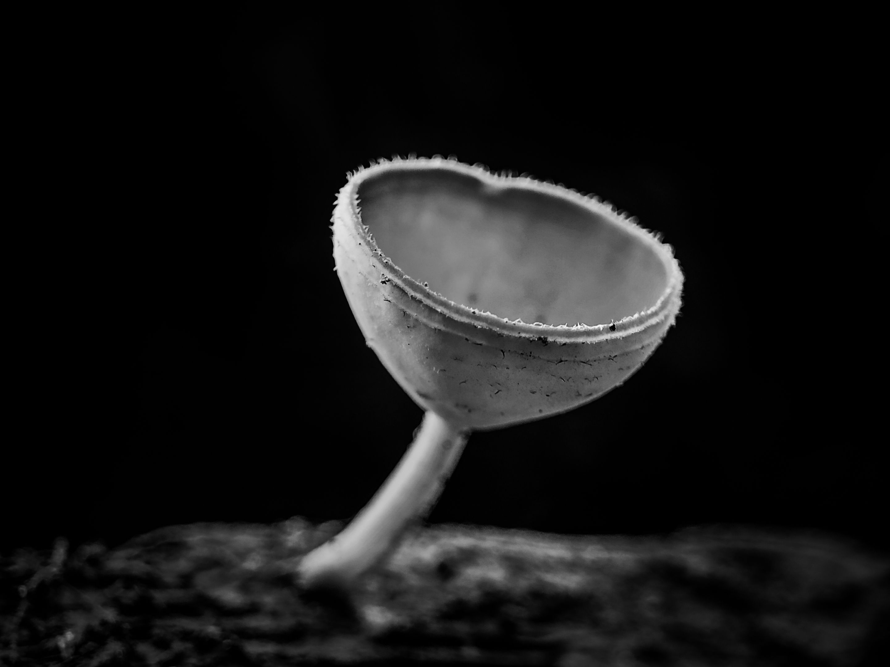 PSX_20220911_122015-01.jpg
