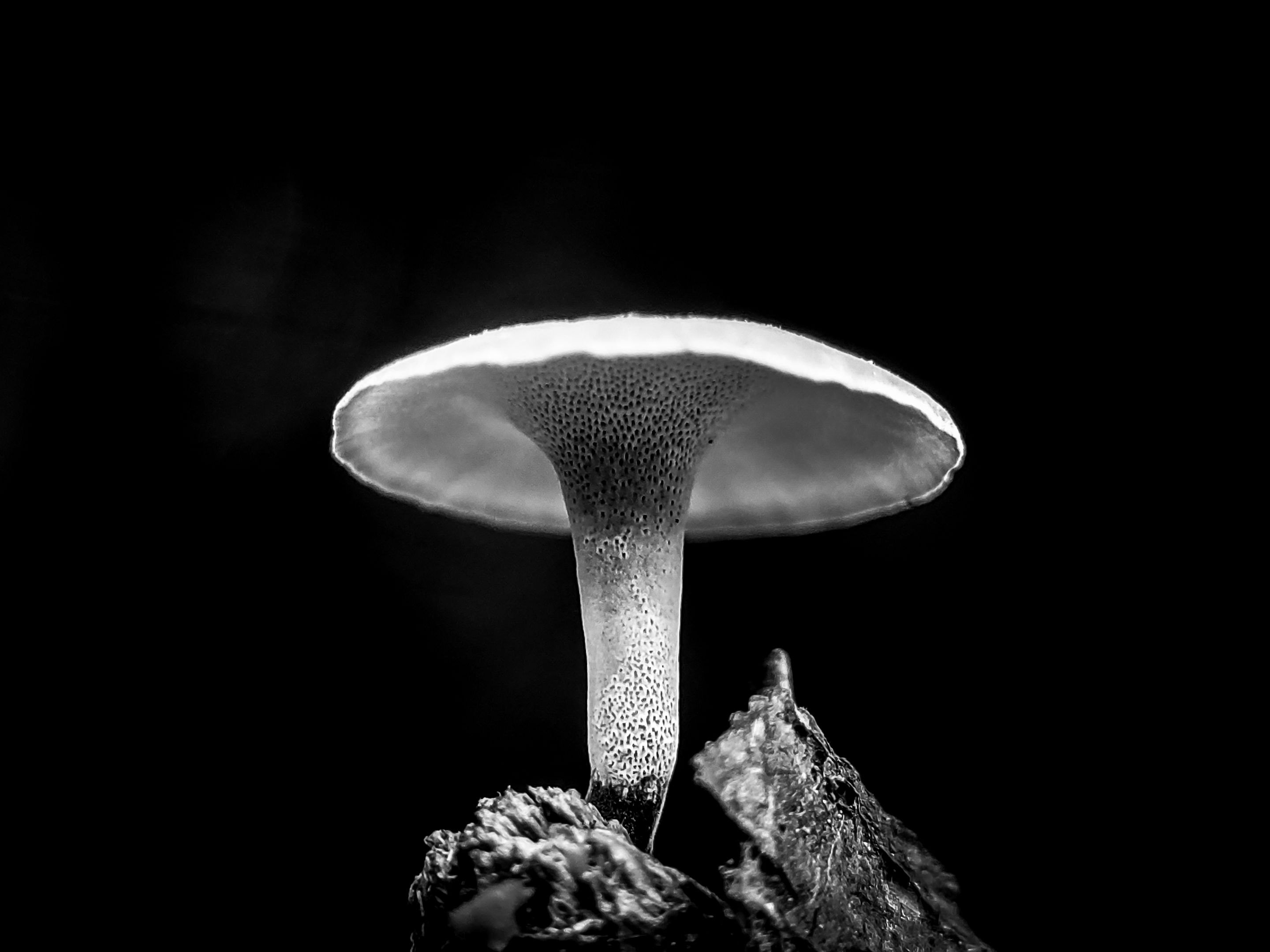 PSX_20221015_180621.jpg