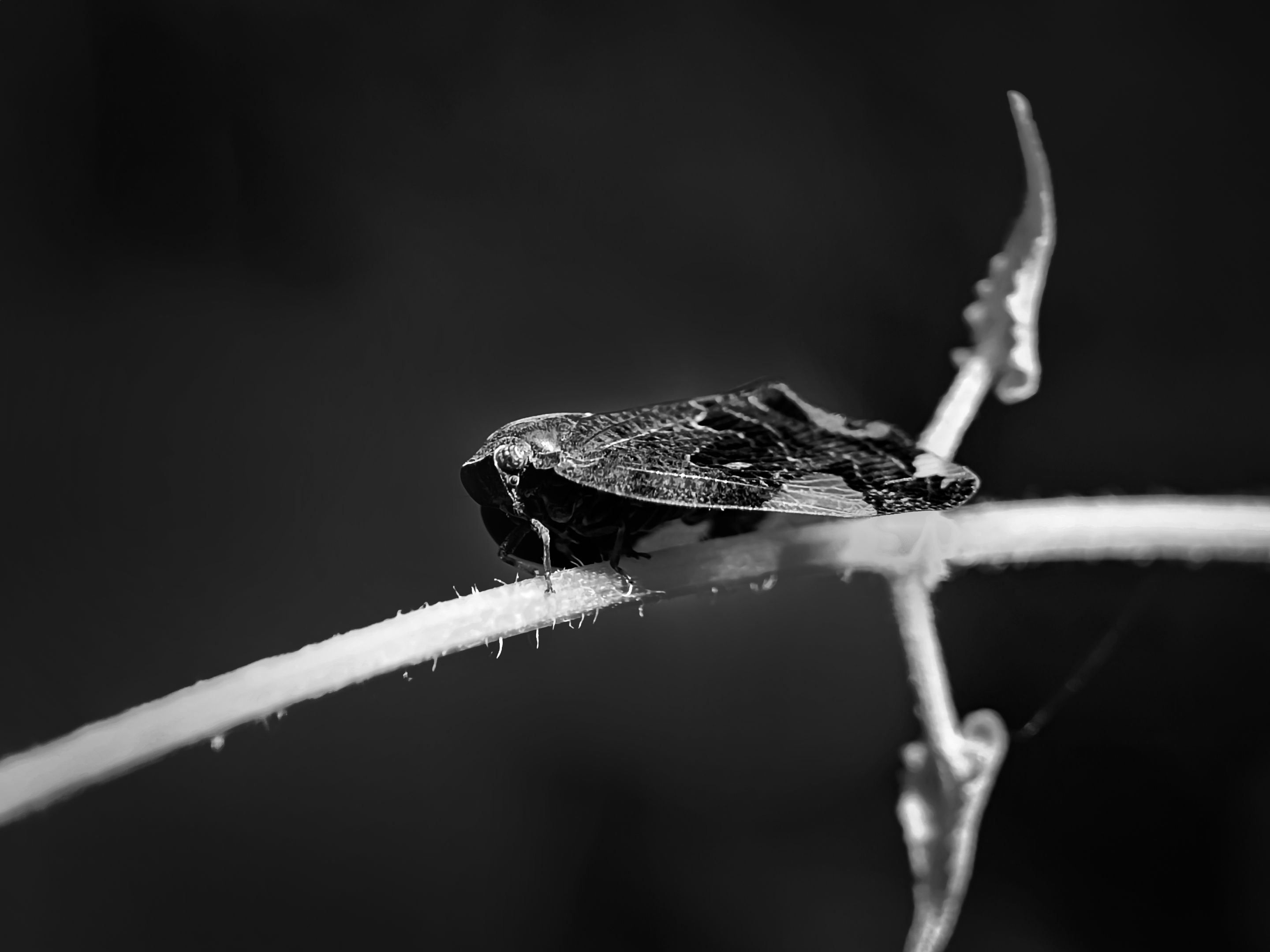 IMG_20220808_163354.jpg