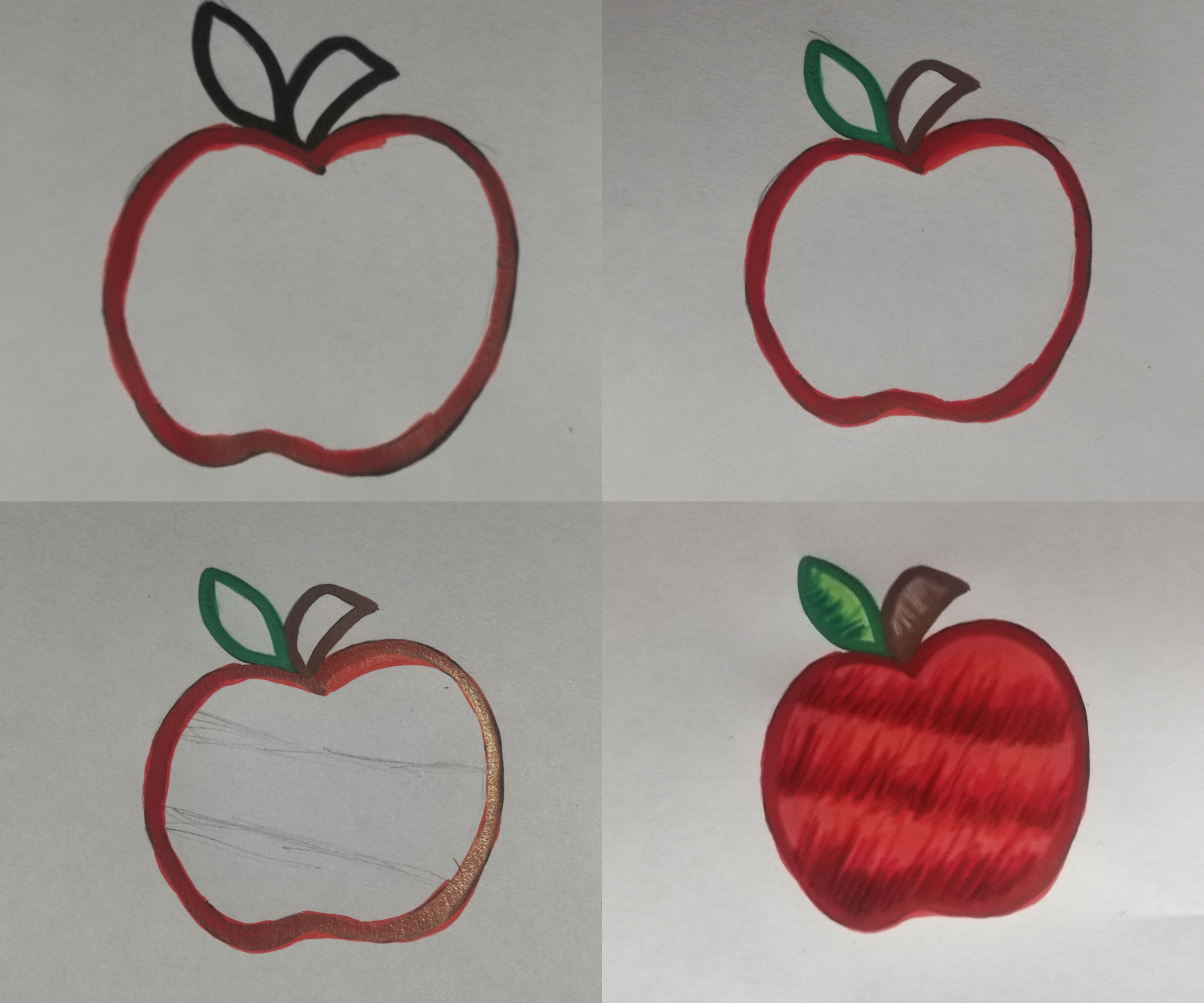 collage.png