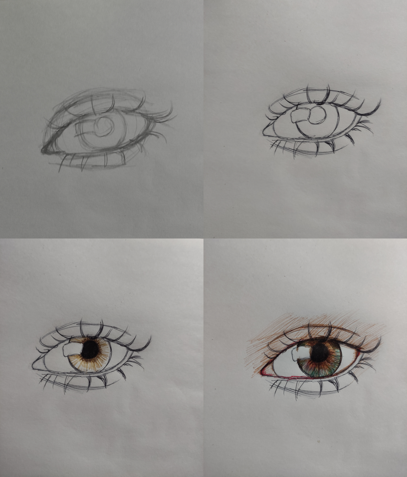 collage2.png