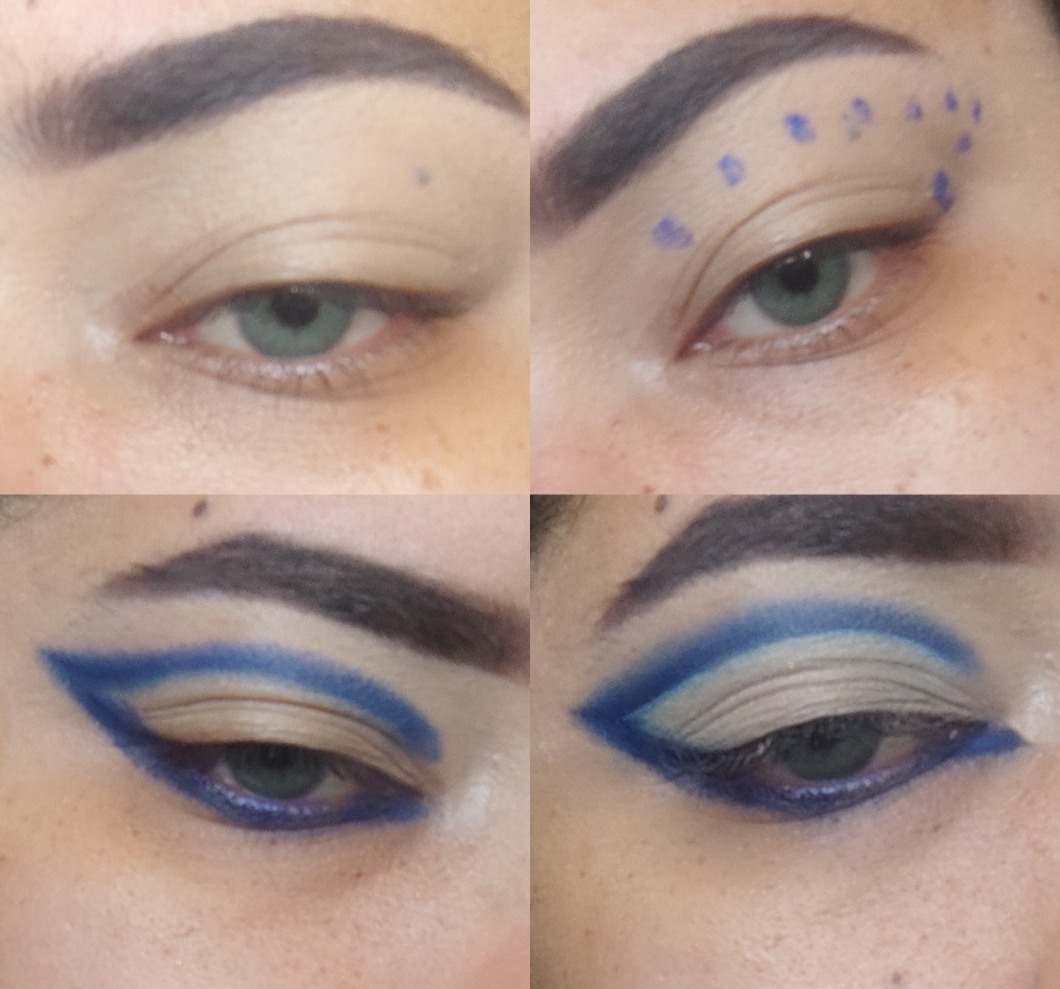 collage.png