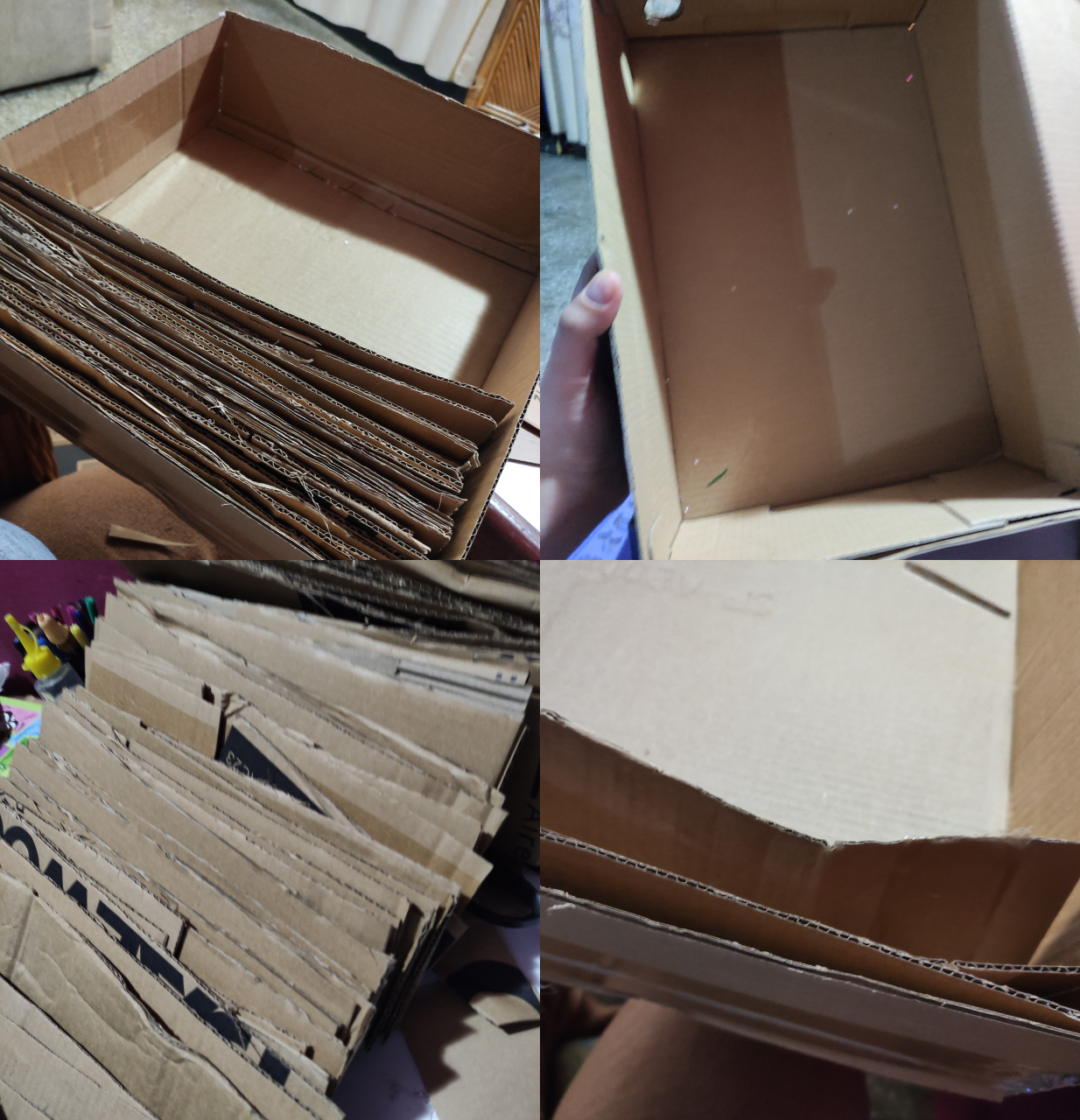 collage2.png