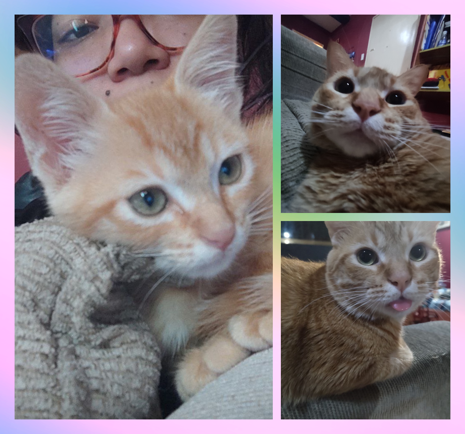 My beautiful Tommy is already two years old!