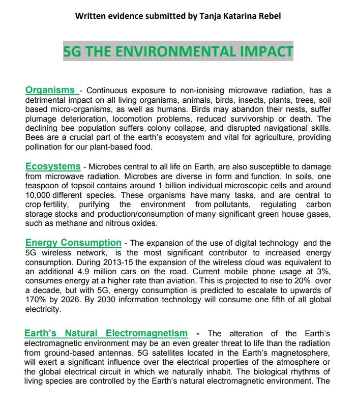 5G UK parliament.jpg