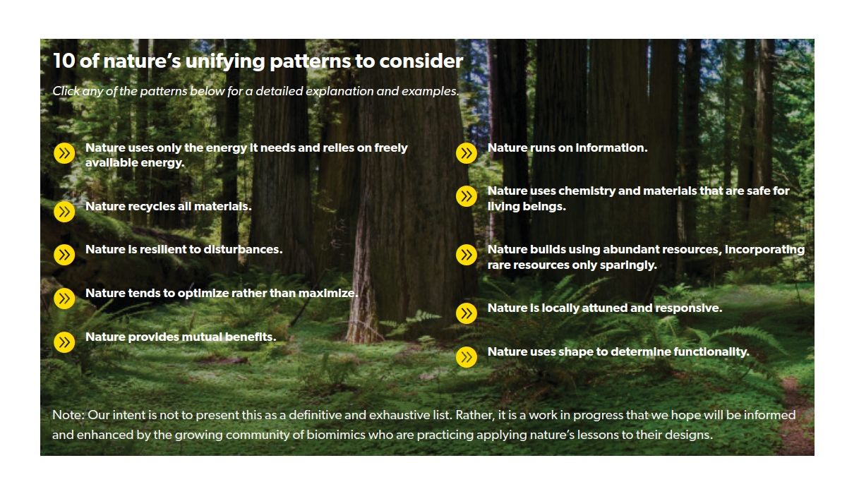 uni natuer patterns.jpg