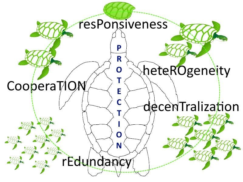 Protection hnoon.jpeg