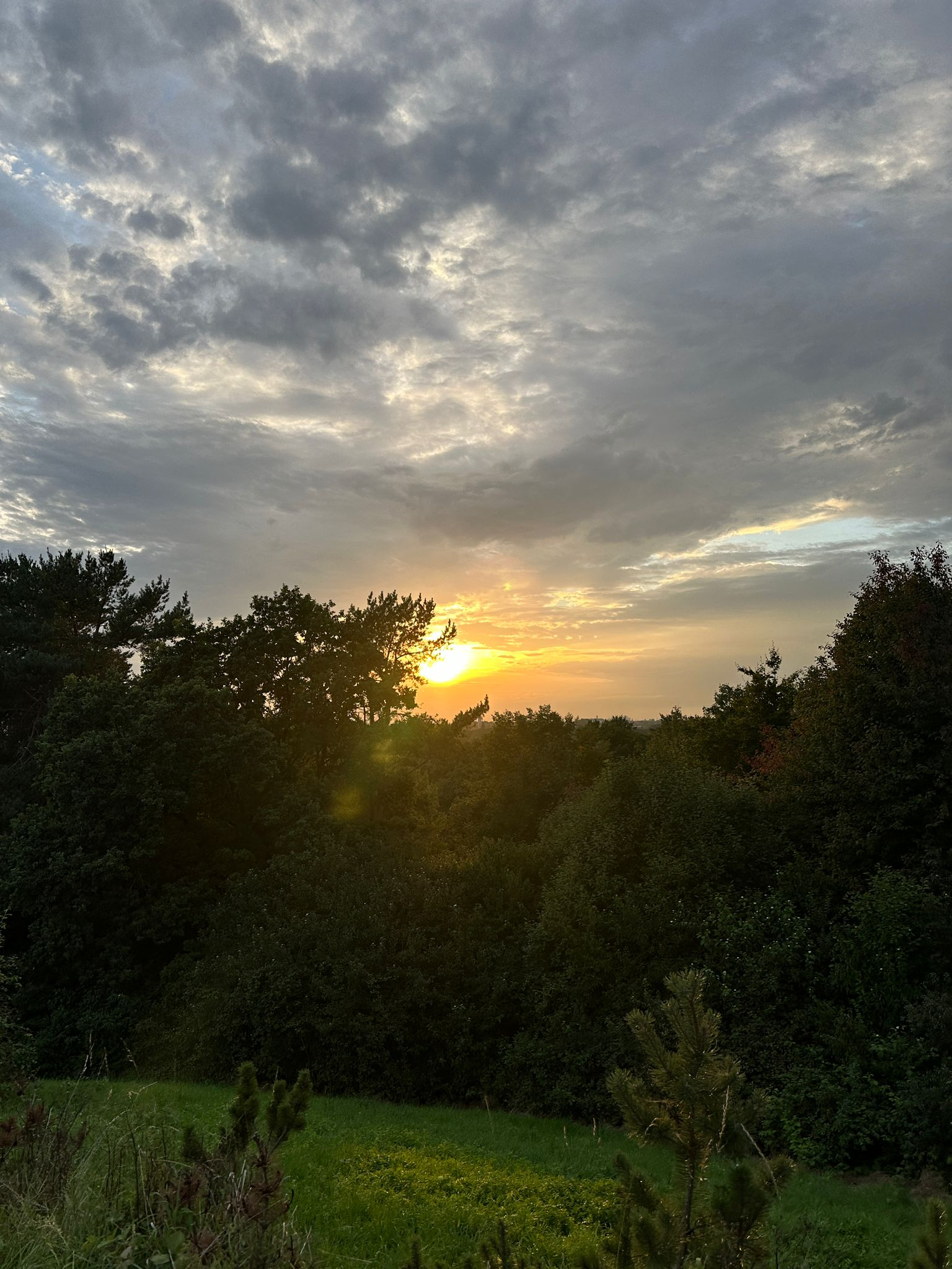 IMG_51…
Payout: 8.124 HBDSunset / Sonnenuntergang
2025-09-08 21:29<center> ![image.png