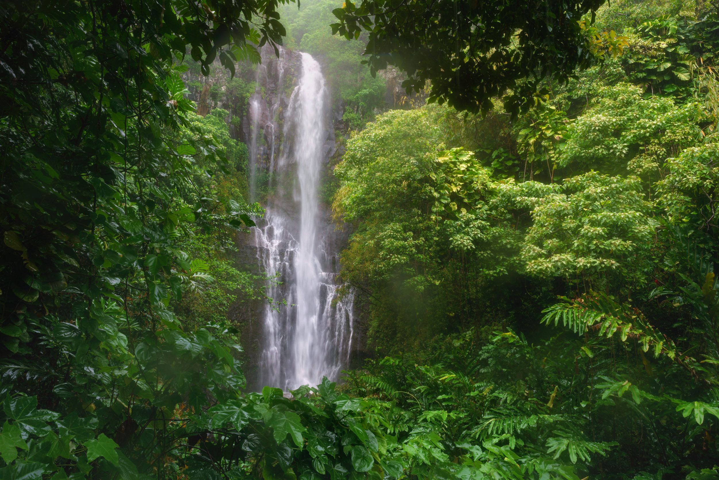 Alfredo Mora Photography PeakD Maui-4.jpg
